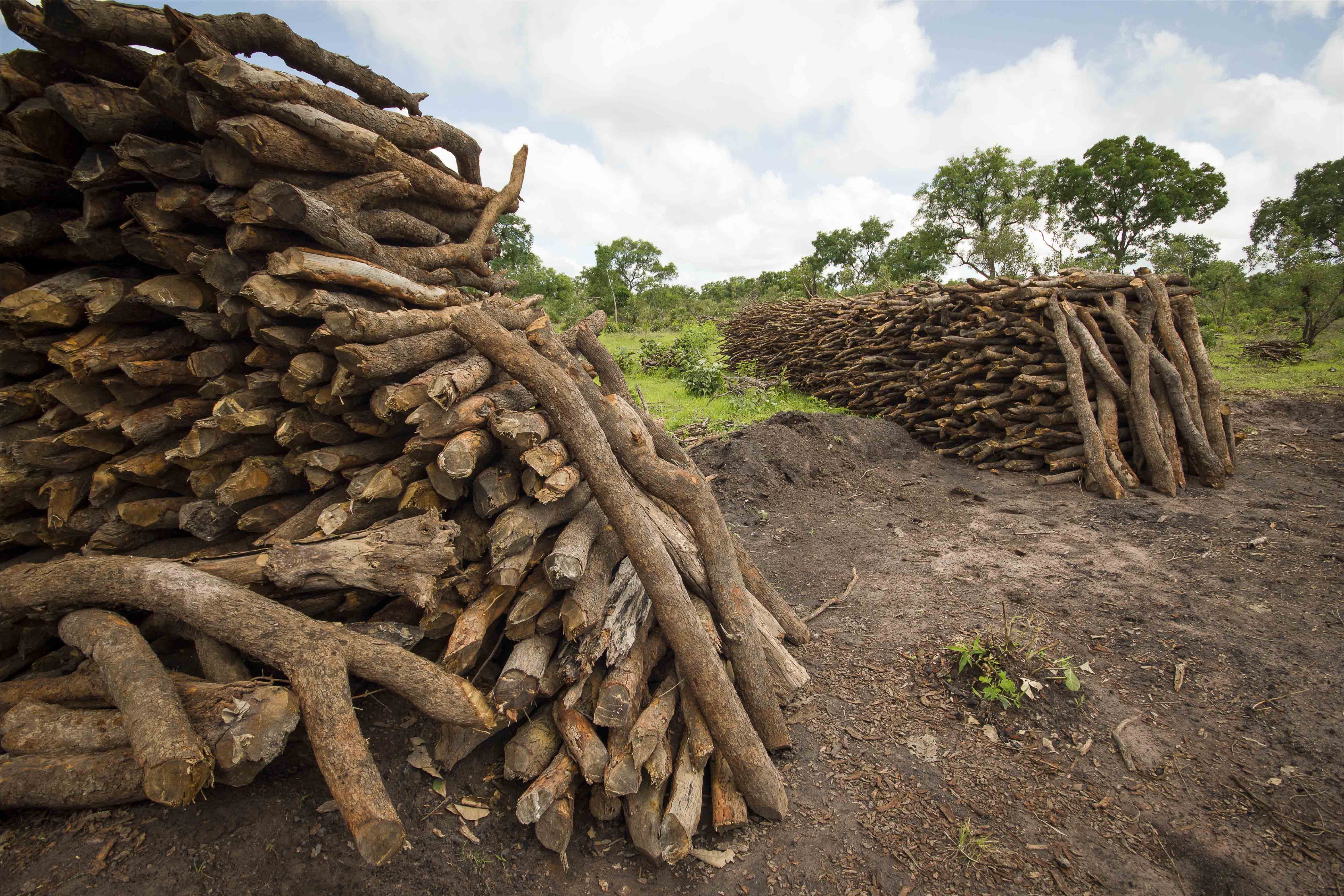 Exploitation illégale