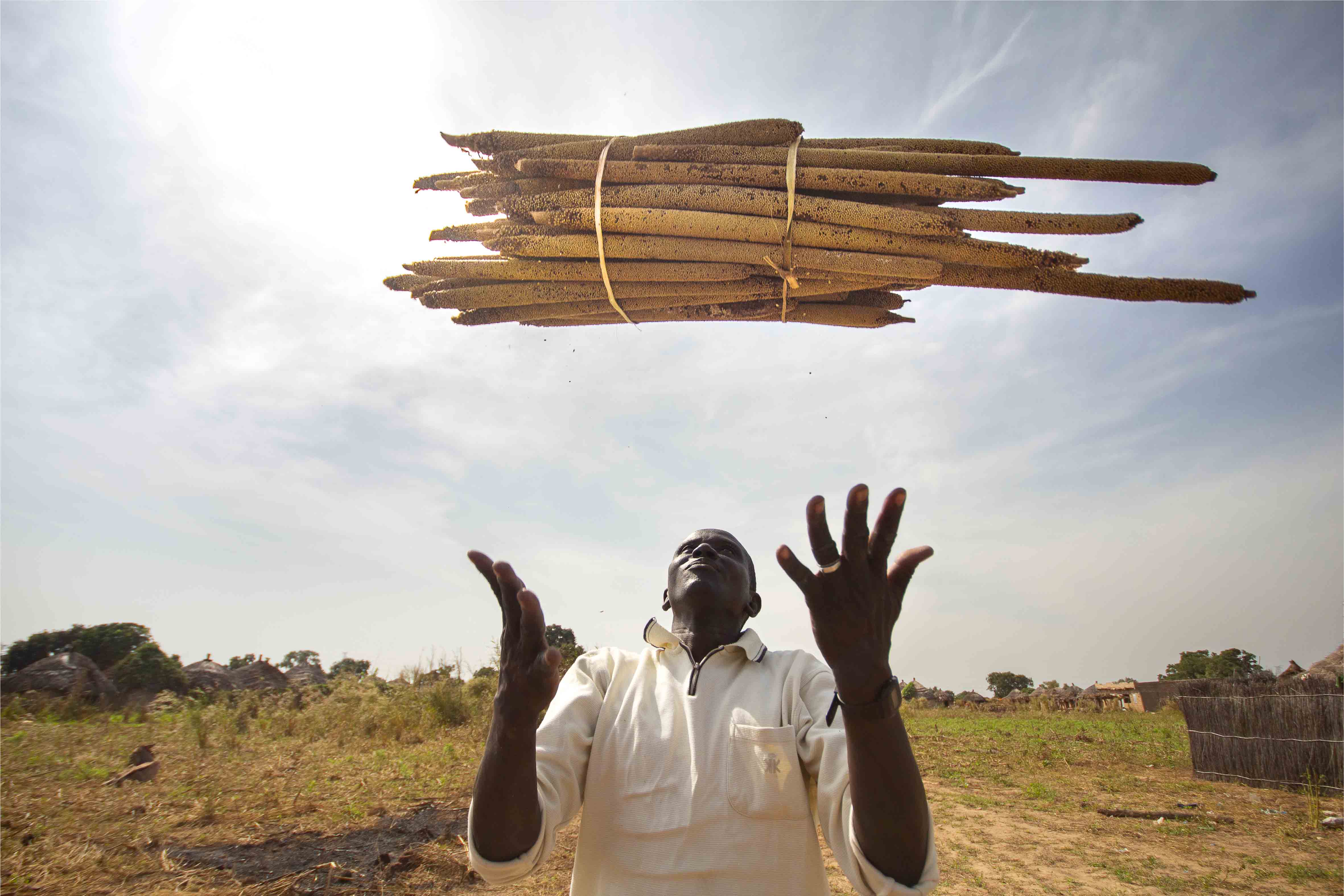 Récoltes prolifiques