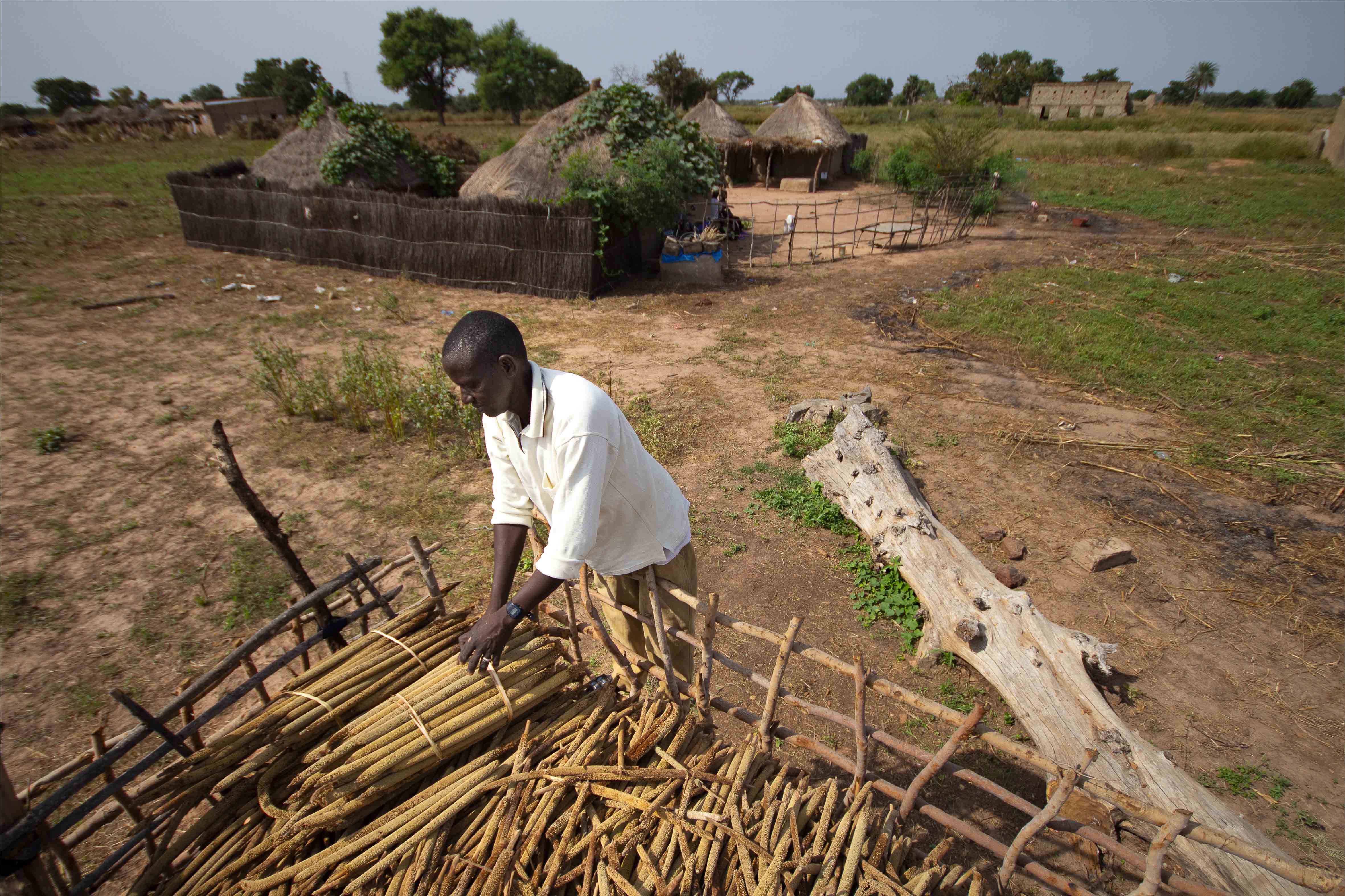 Récoltes prolifiques