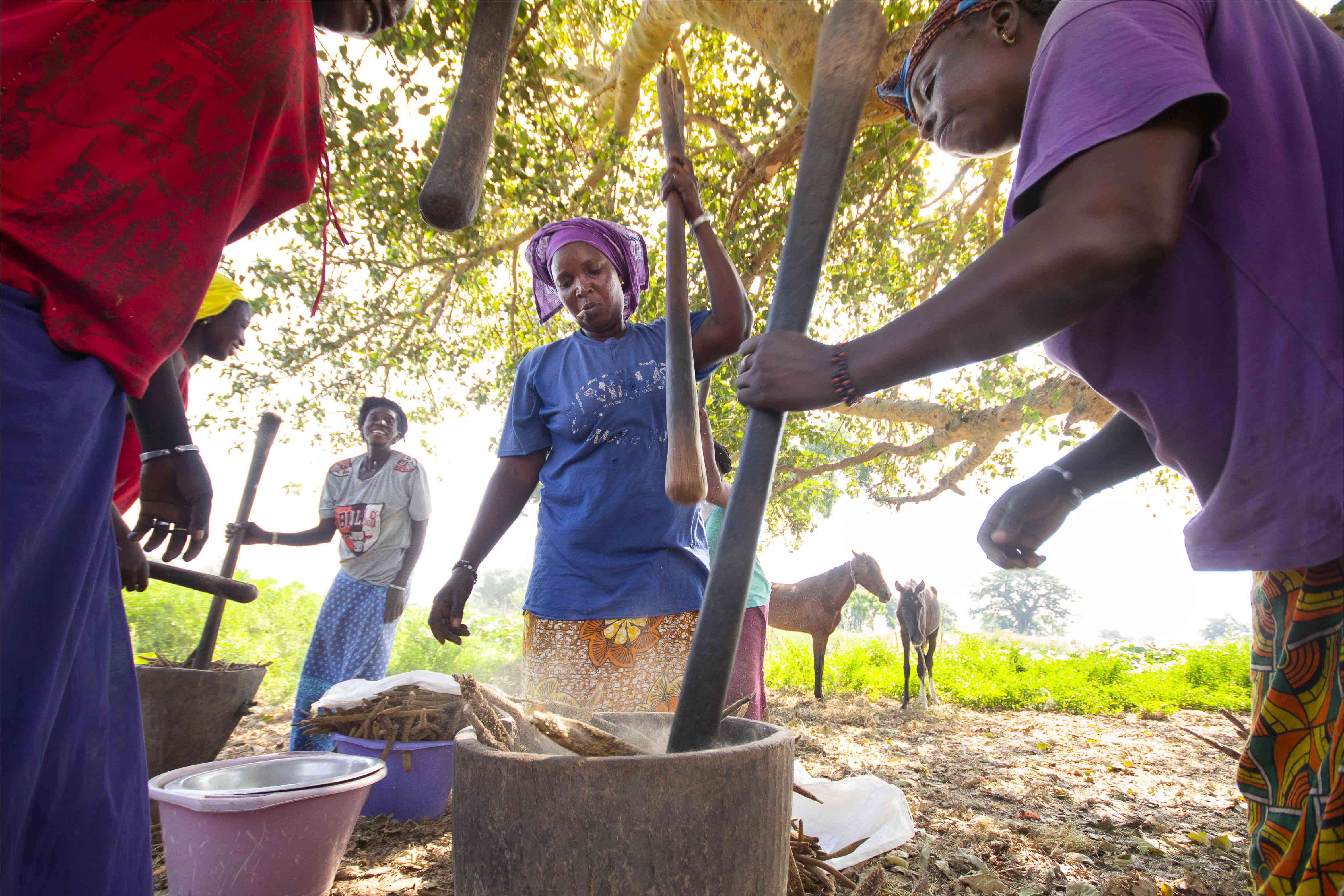 Le mill pour la sécurité alimentaire