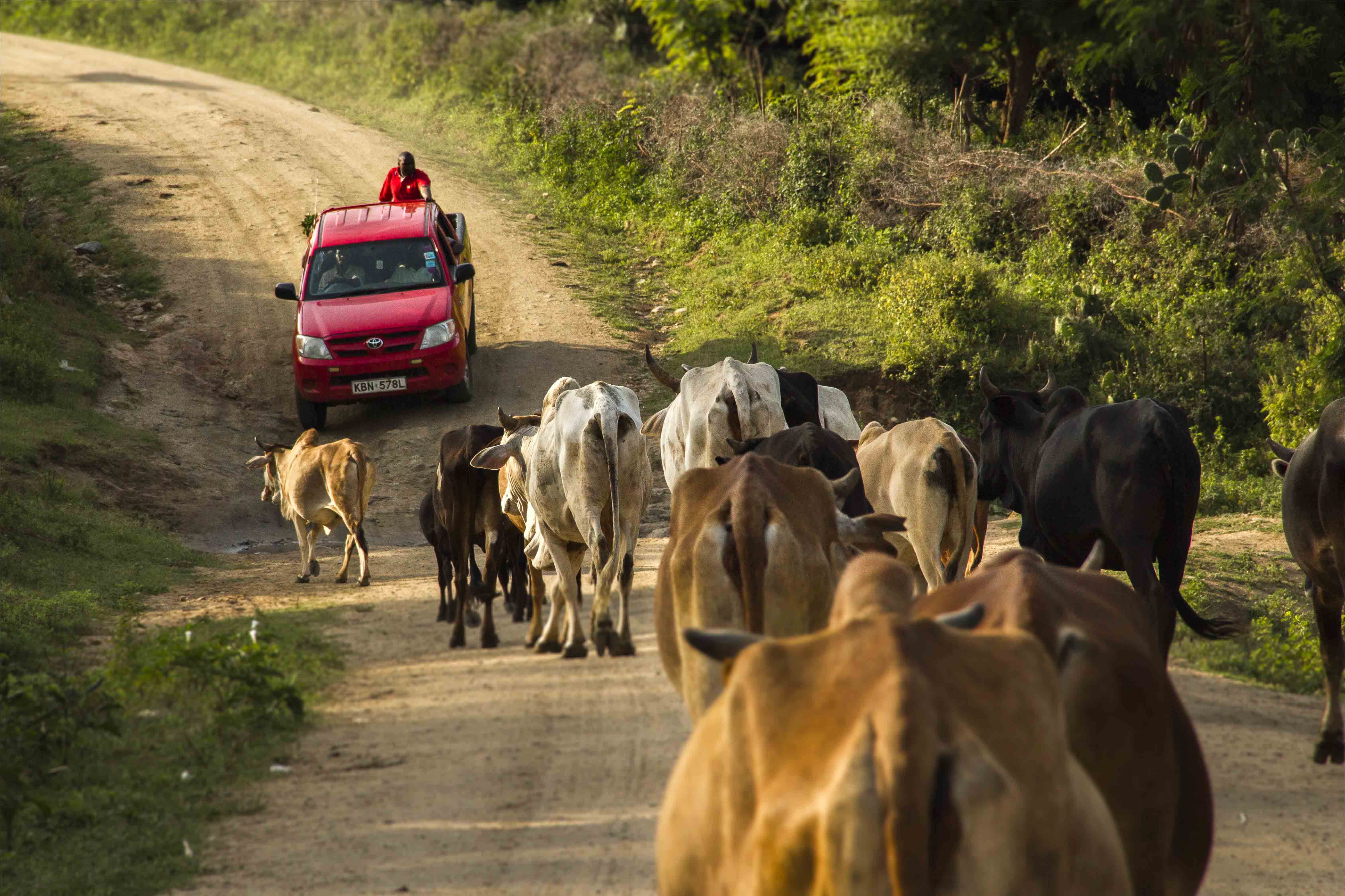 Changement des modes de vie