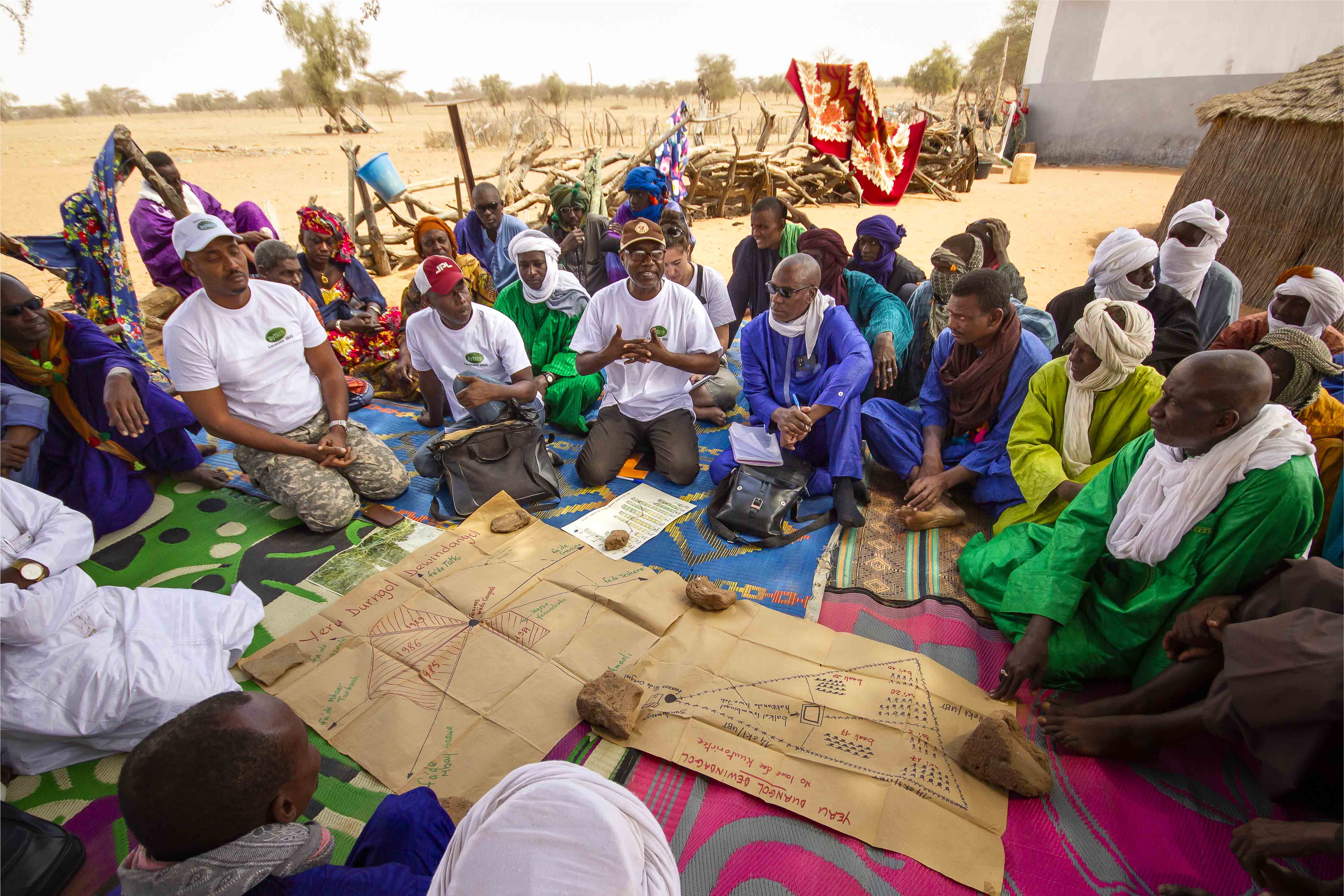 Sédentarisation forcée