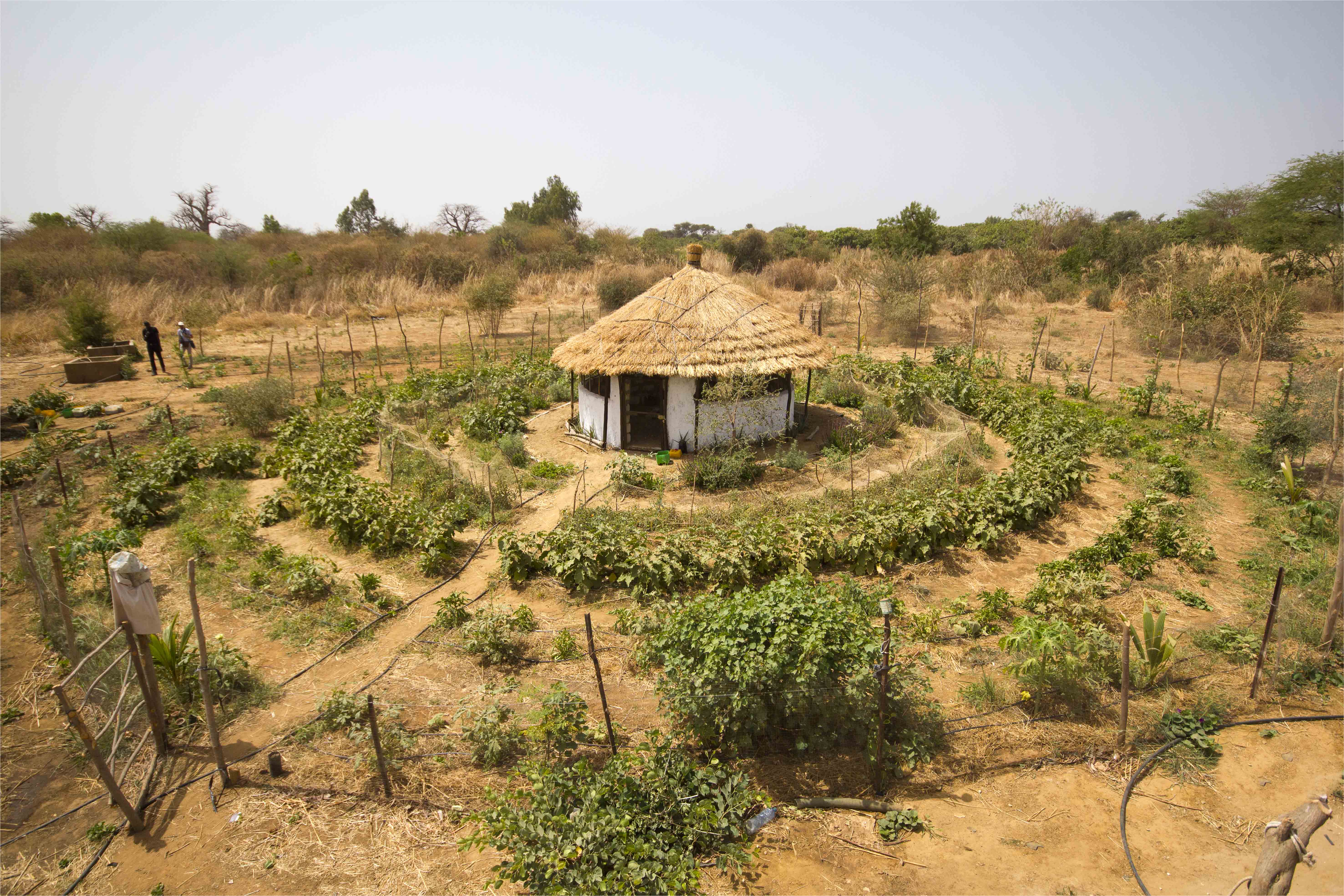Un inventaire des initiatives agroécologiques