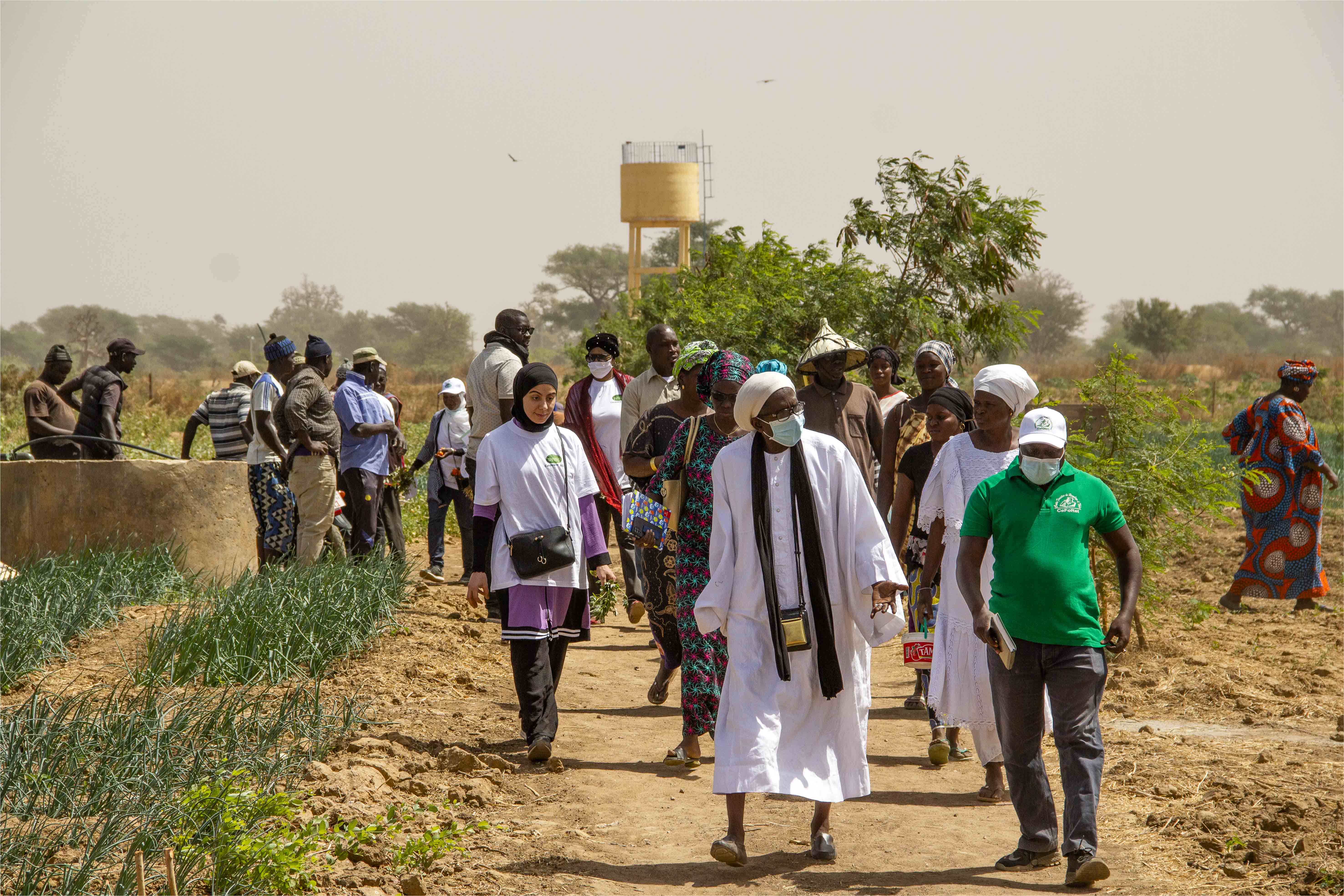 De nouveau sur les routes