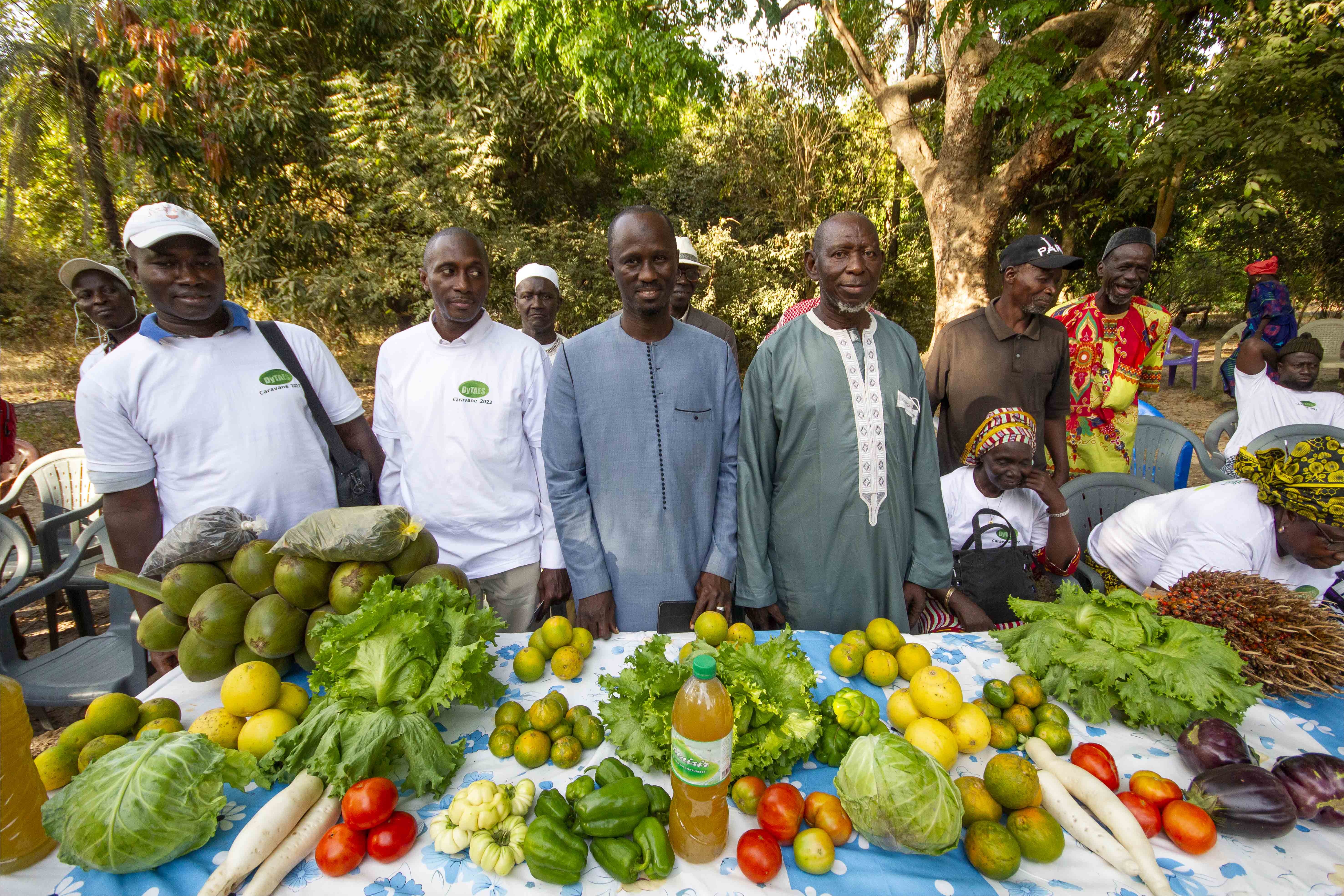 Accompagner les territoires en transition