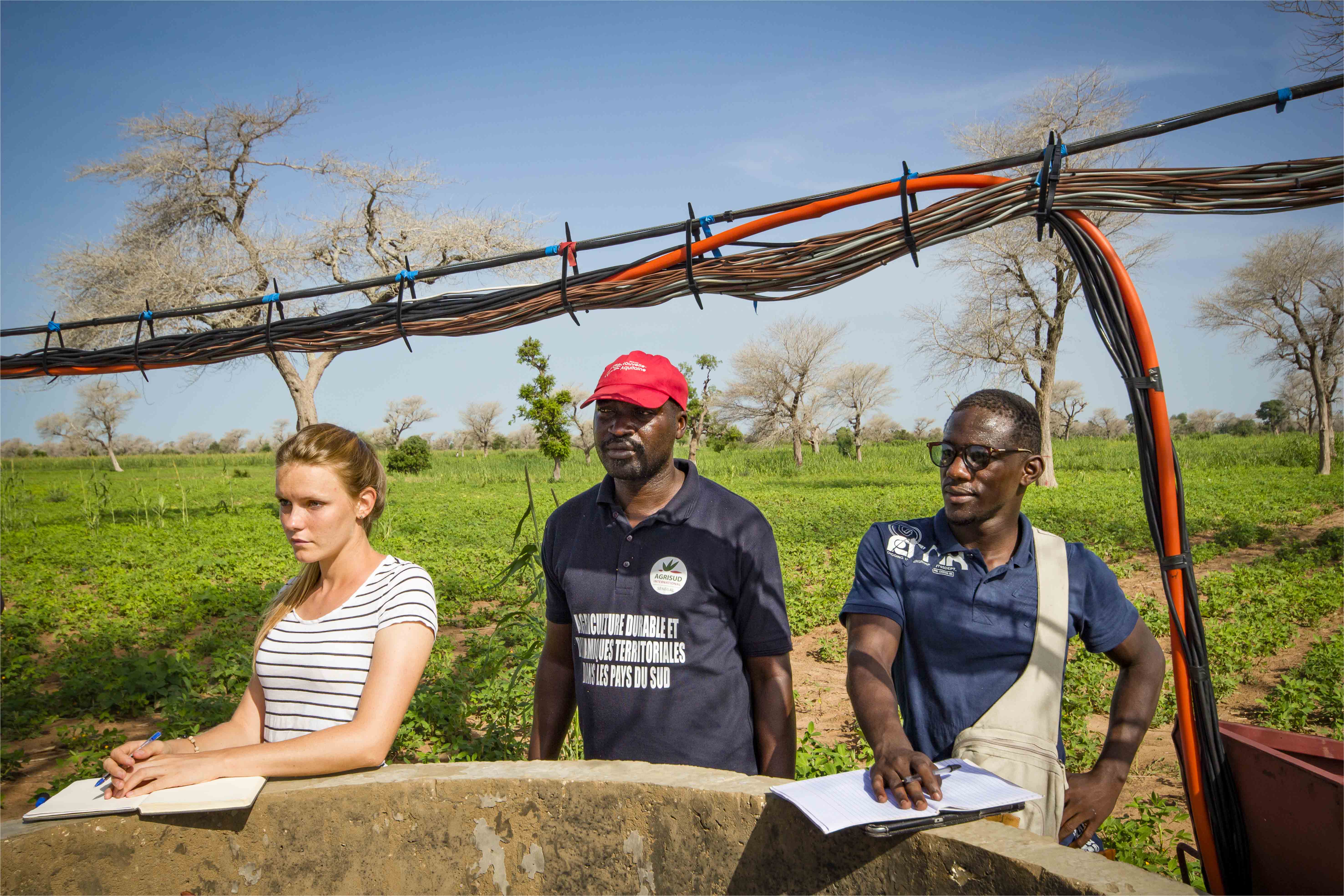 Un inventaire des initiatives agroécologiques