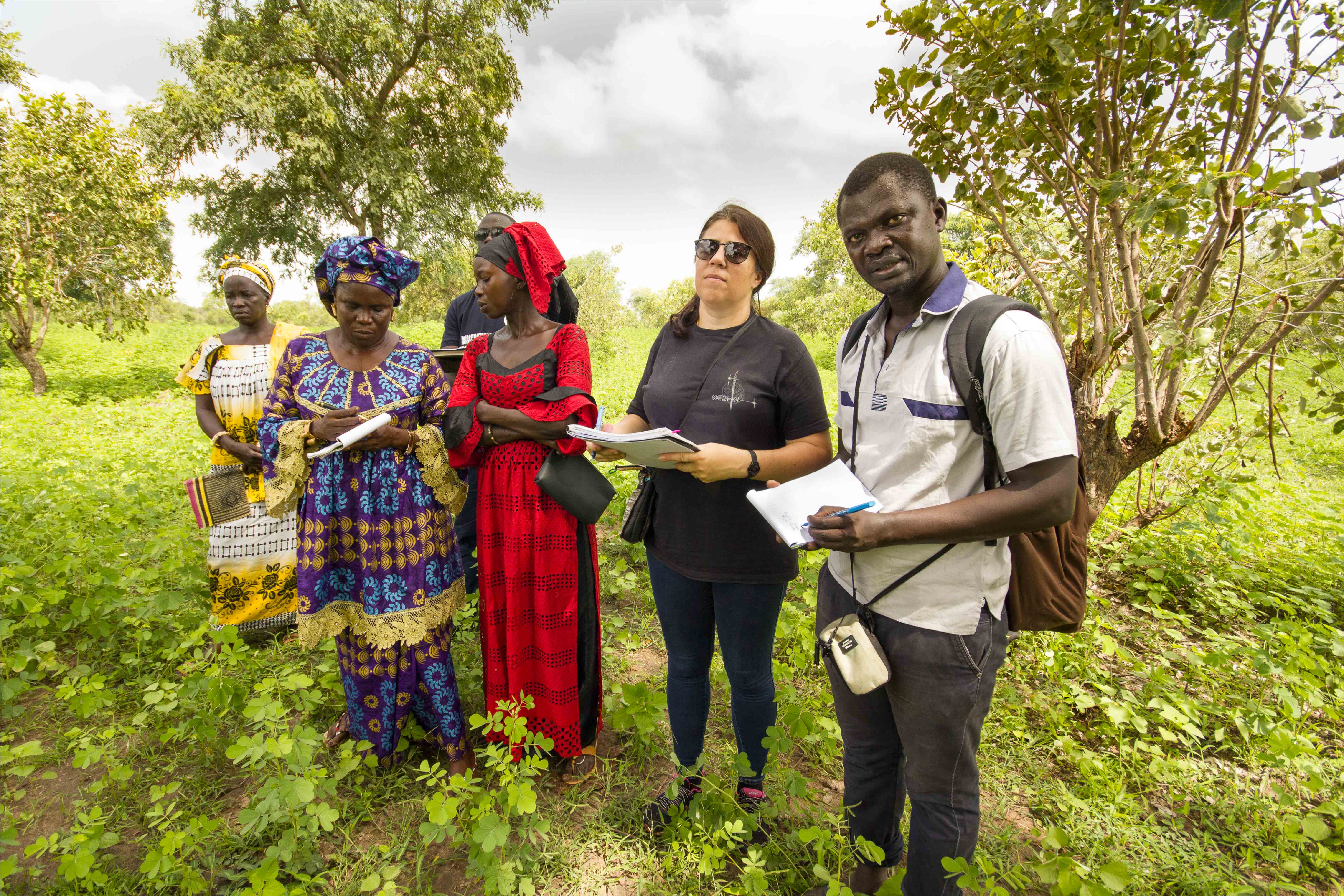 Un inventaire des initiatives agroécologiques