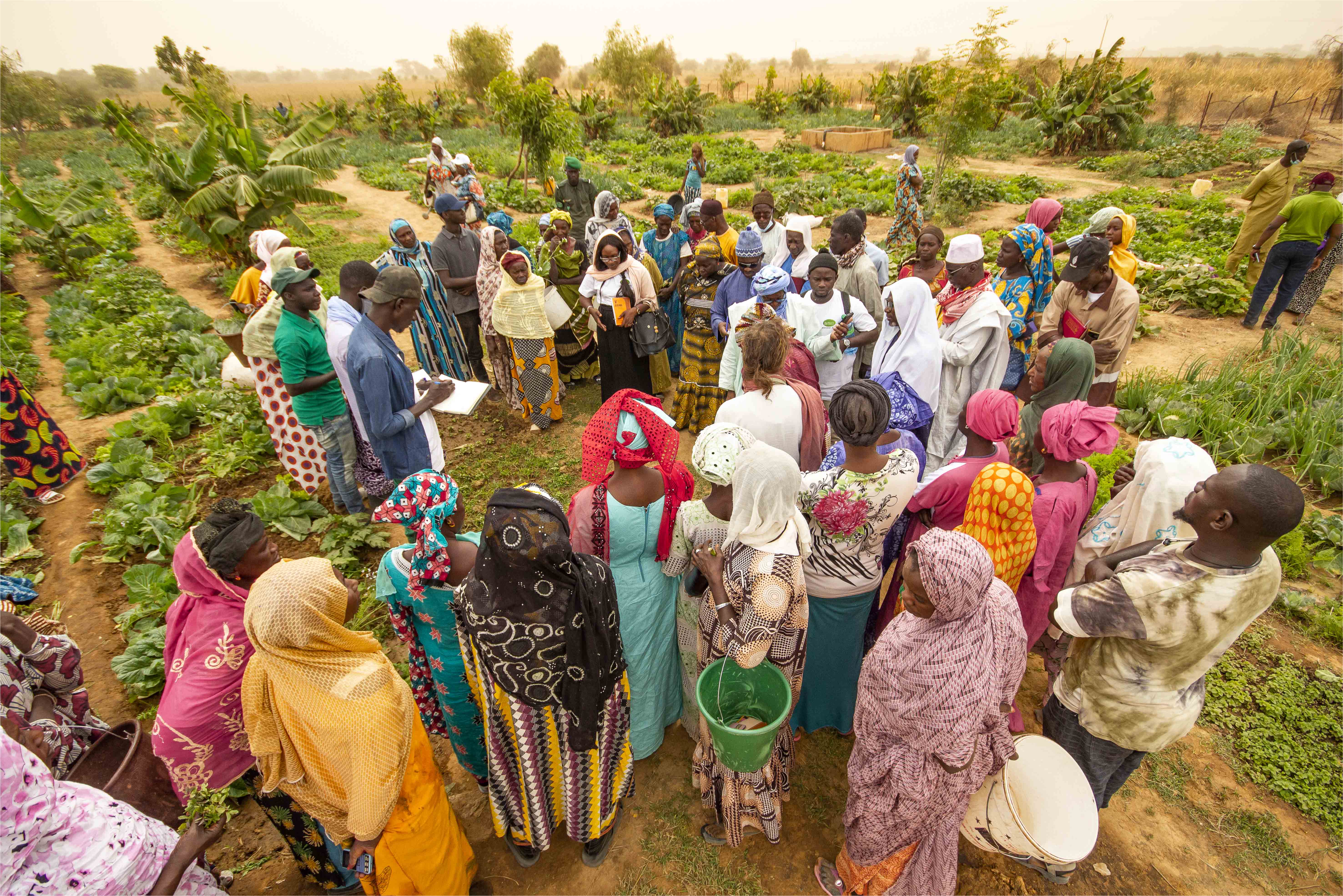 De nouveau sur les routes