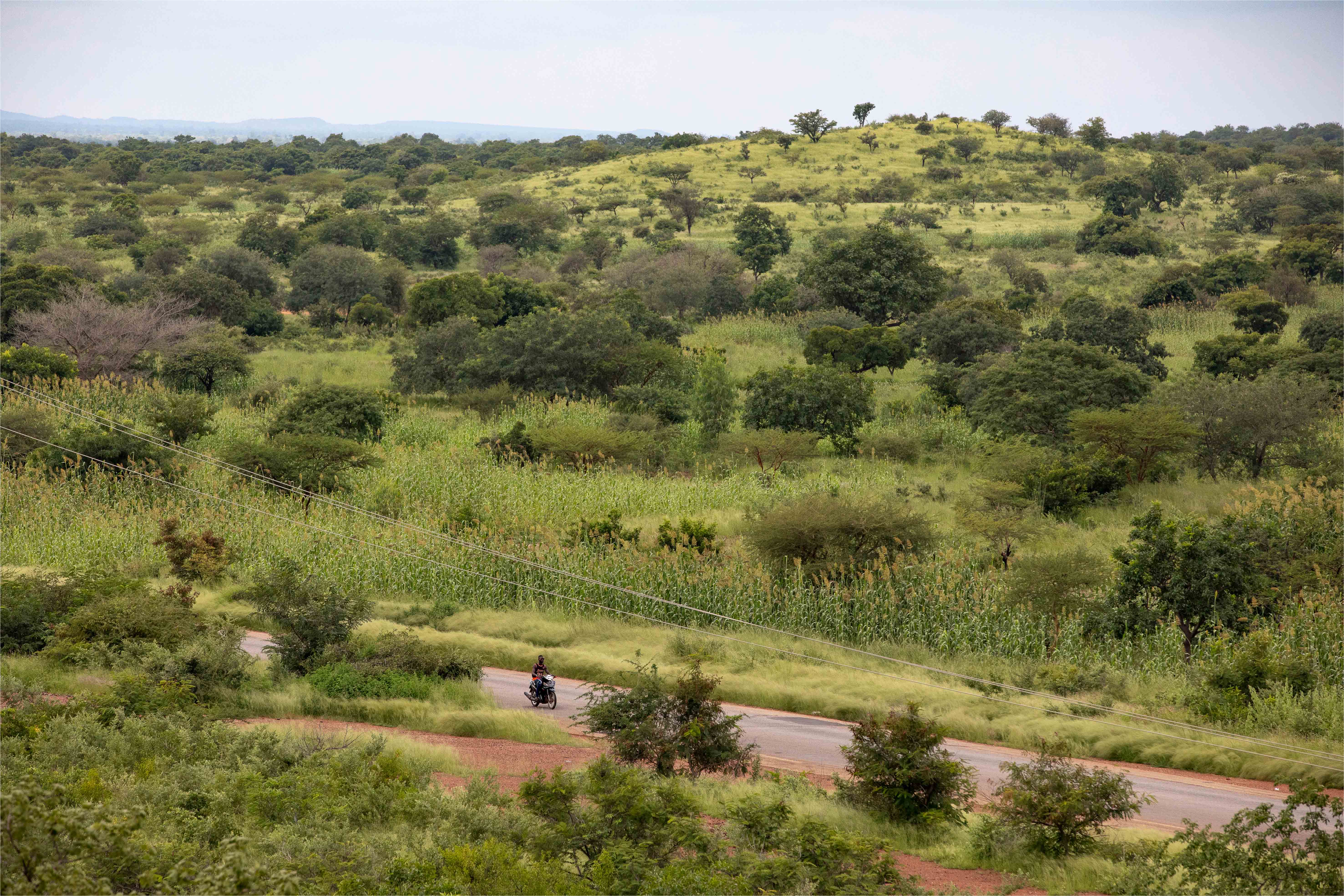 Les agriculteurs au bord de la rupture