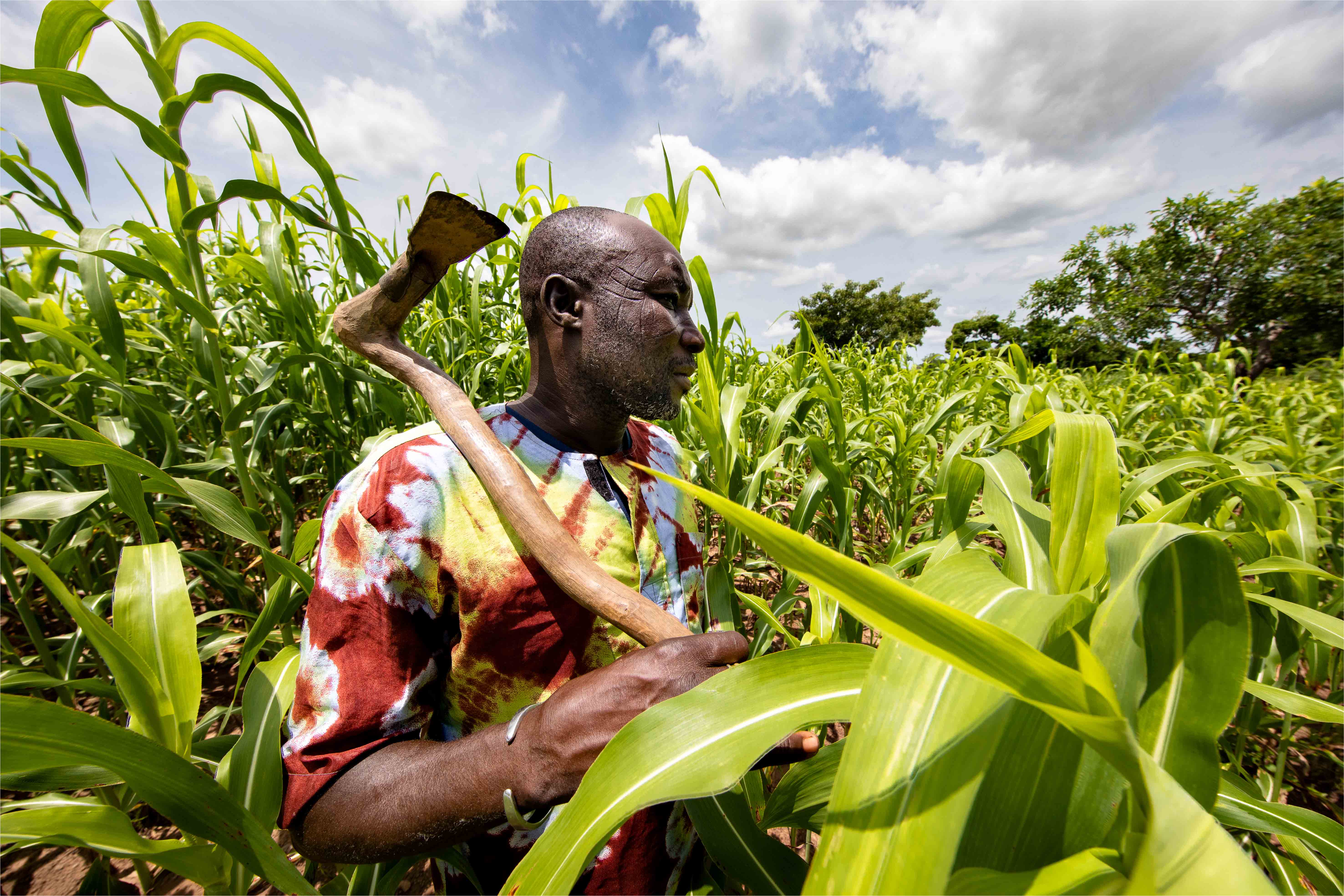 Les agriculteurs au bord de la rupture