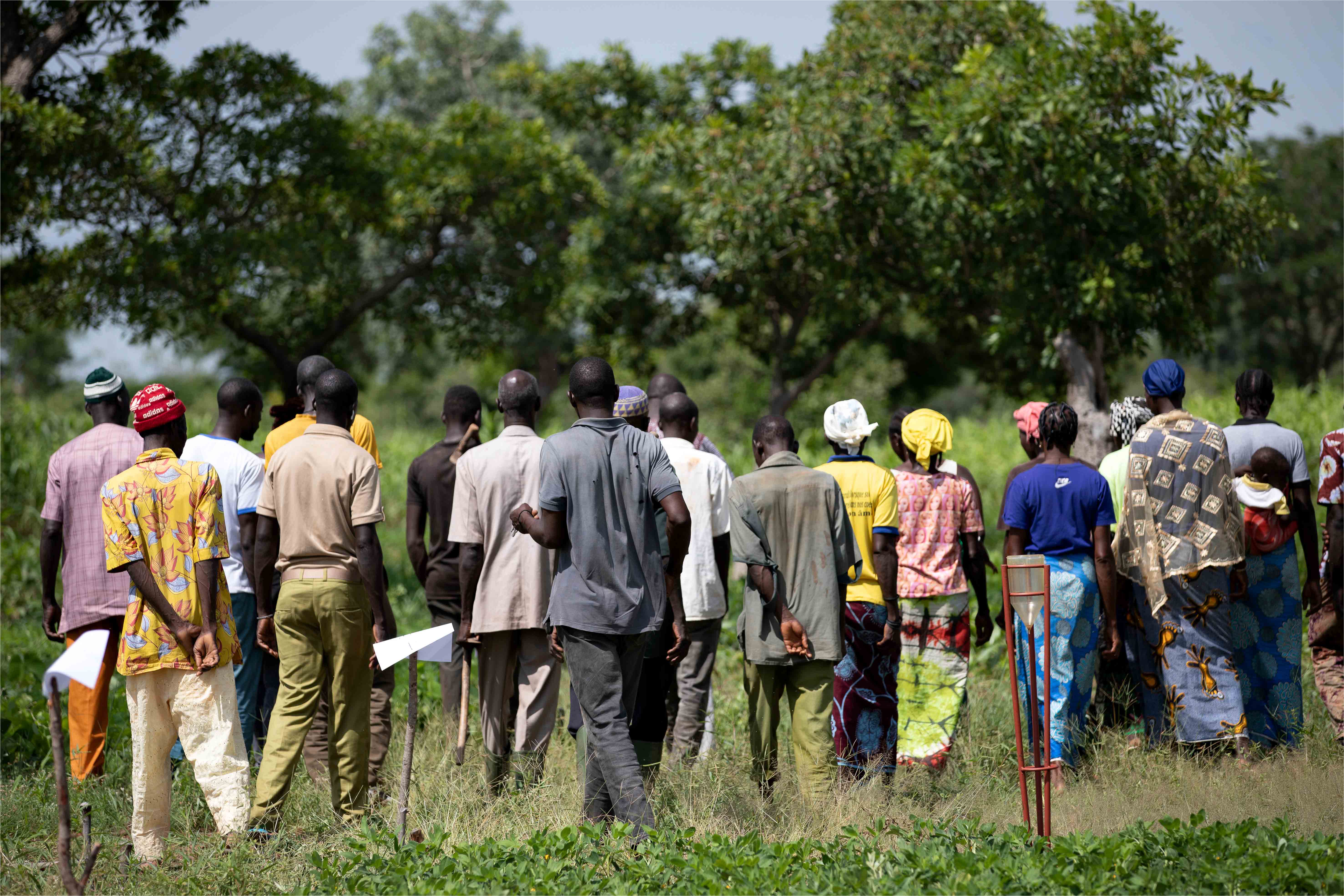 Une école pratique d'agriculture