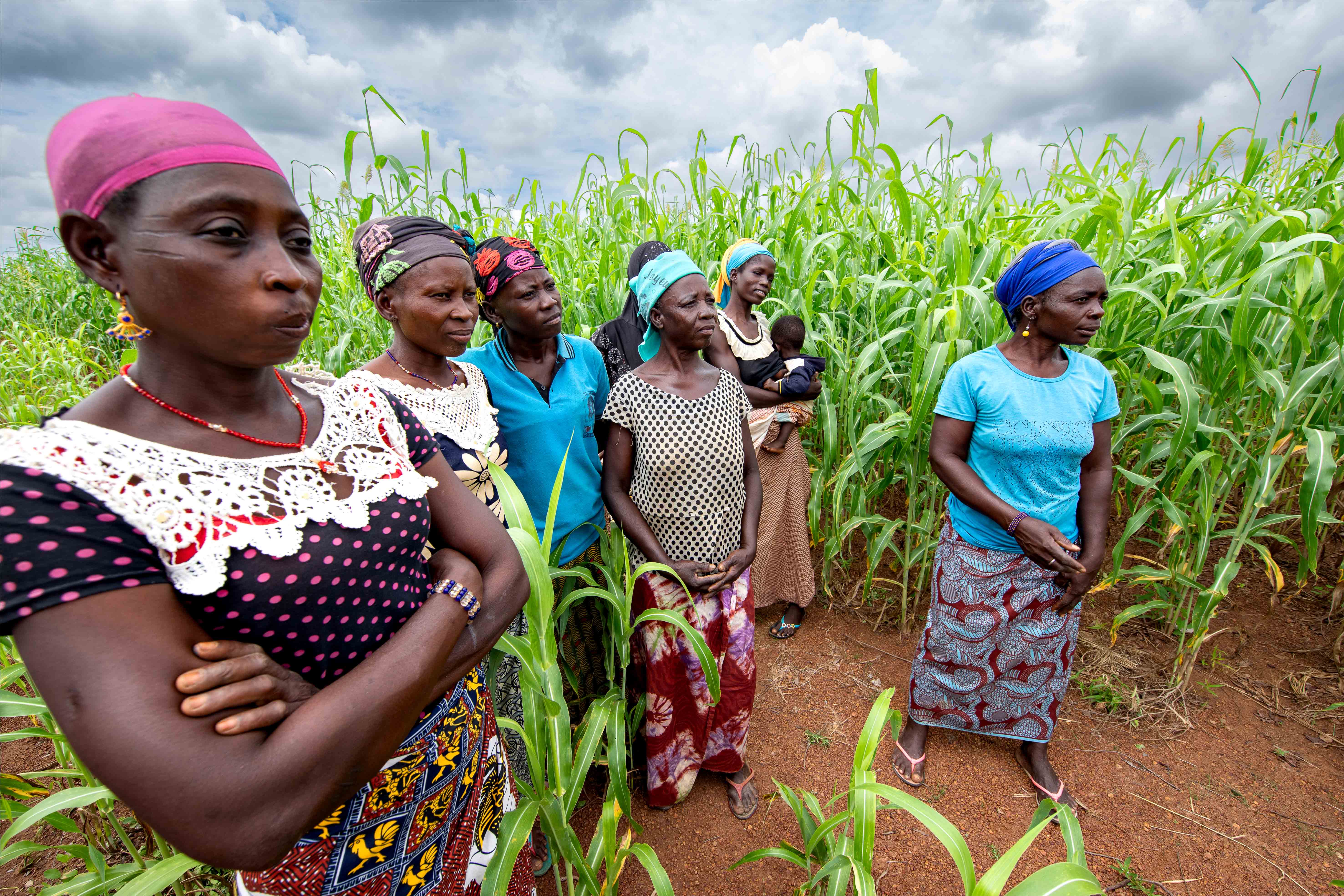 Unir nos forces pour changer l'agriculture