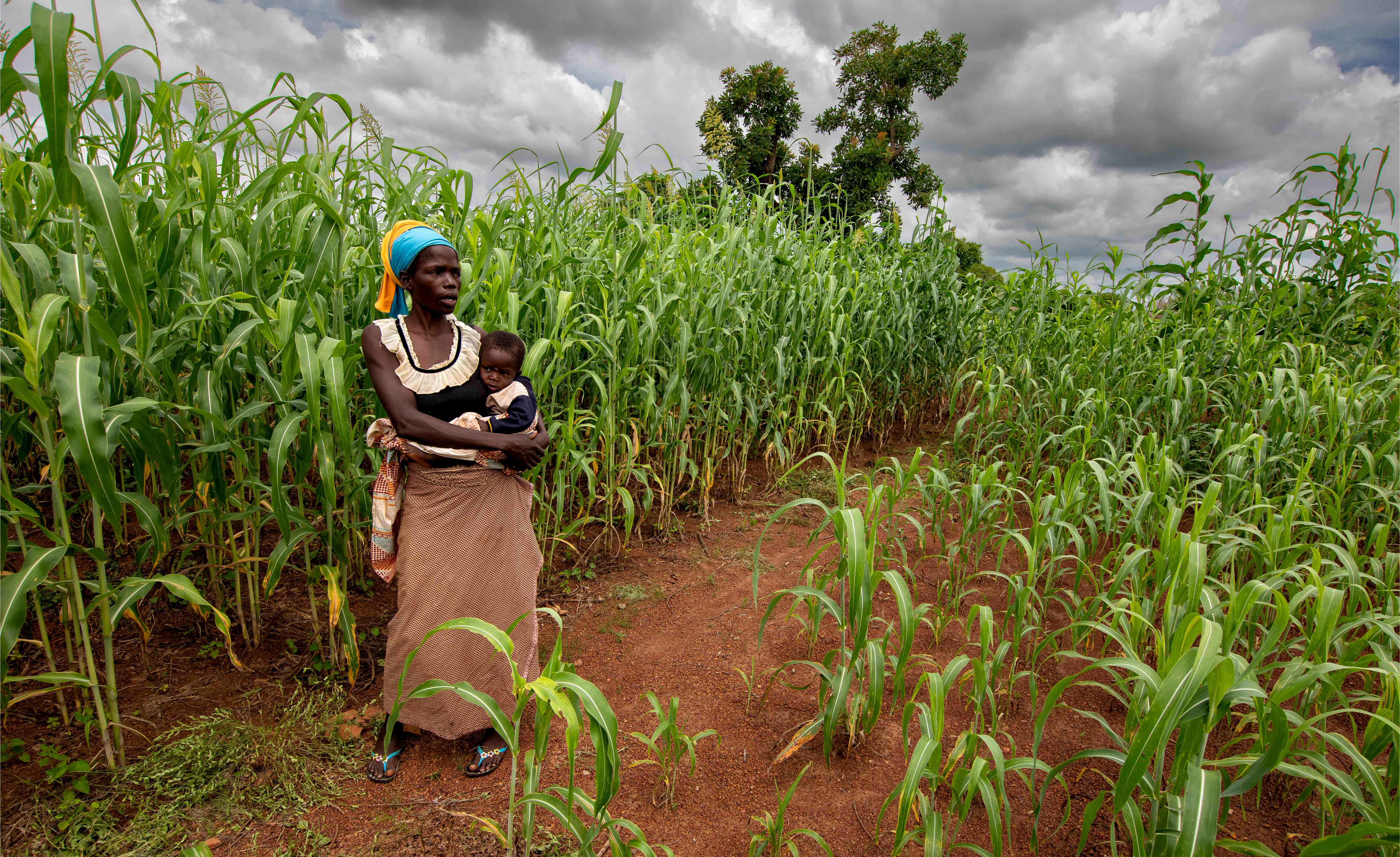 Unir nos forces pour changer l'agriculture