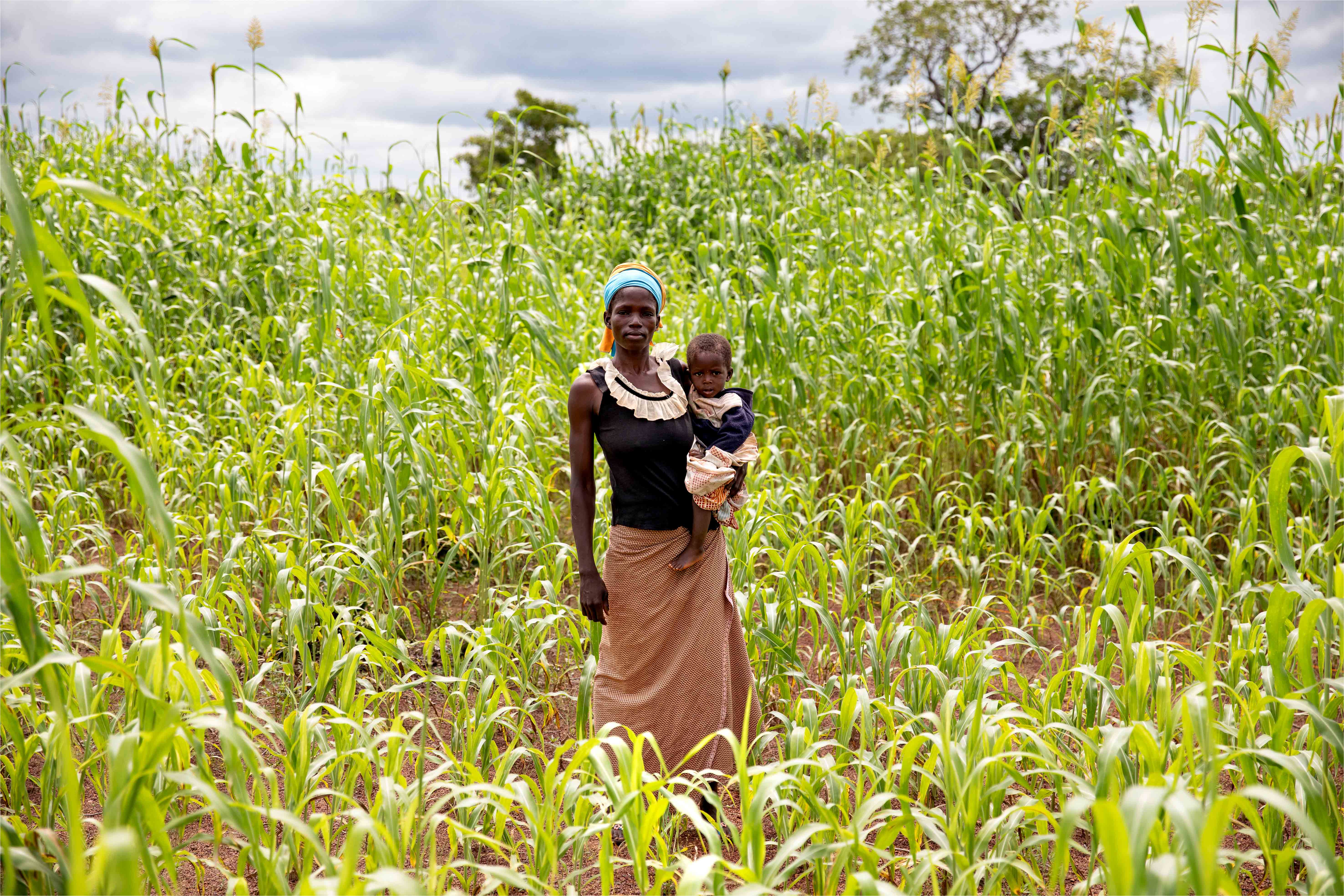 Graphiques satellites