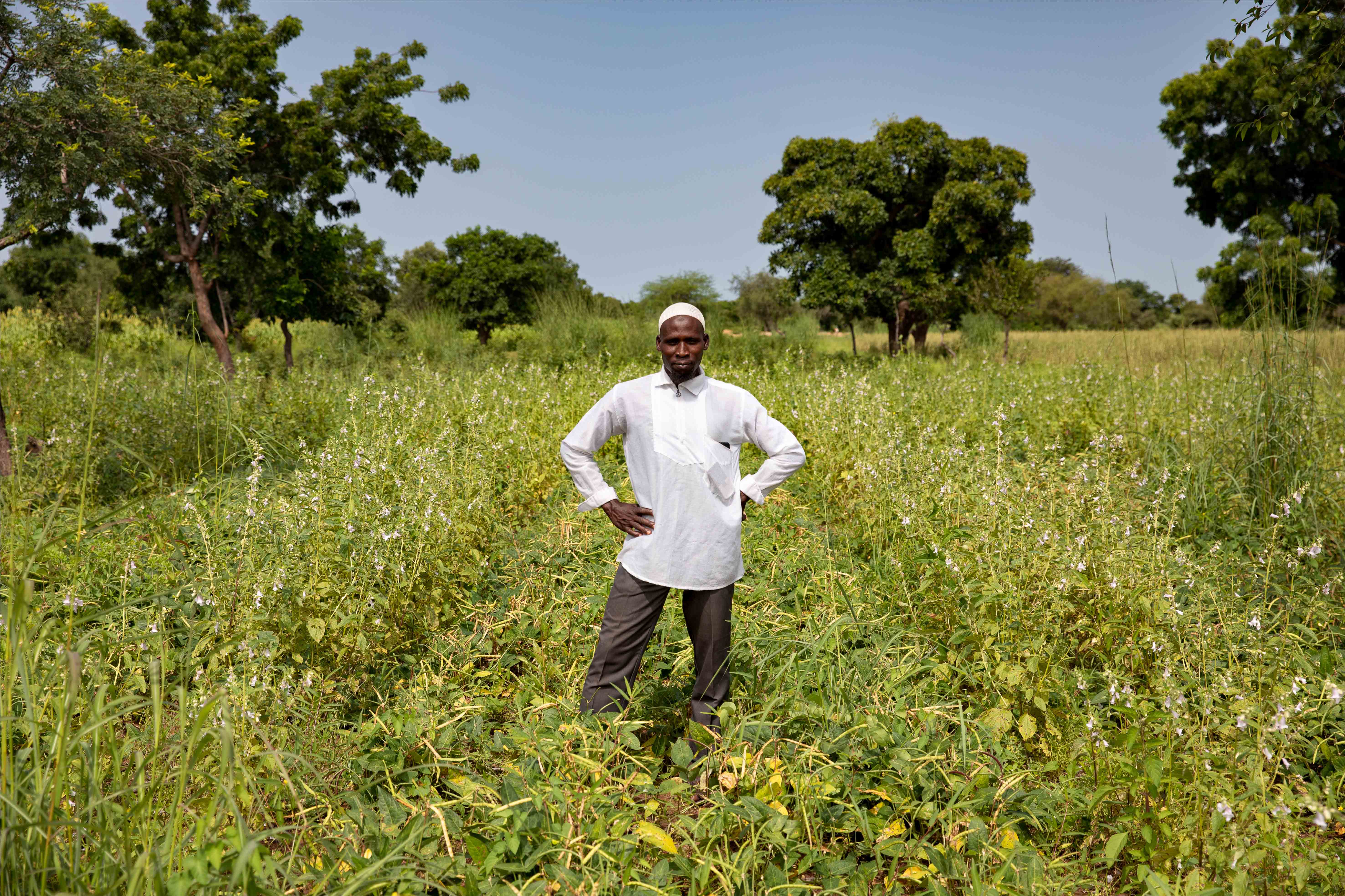 Graphiques satellites