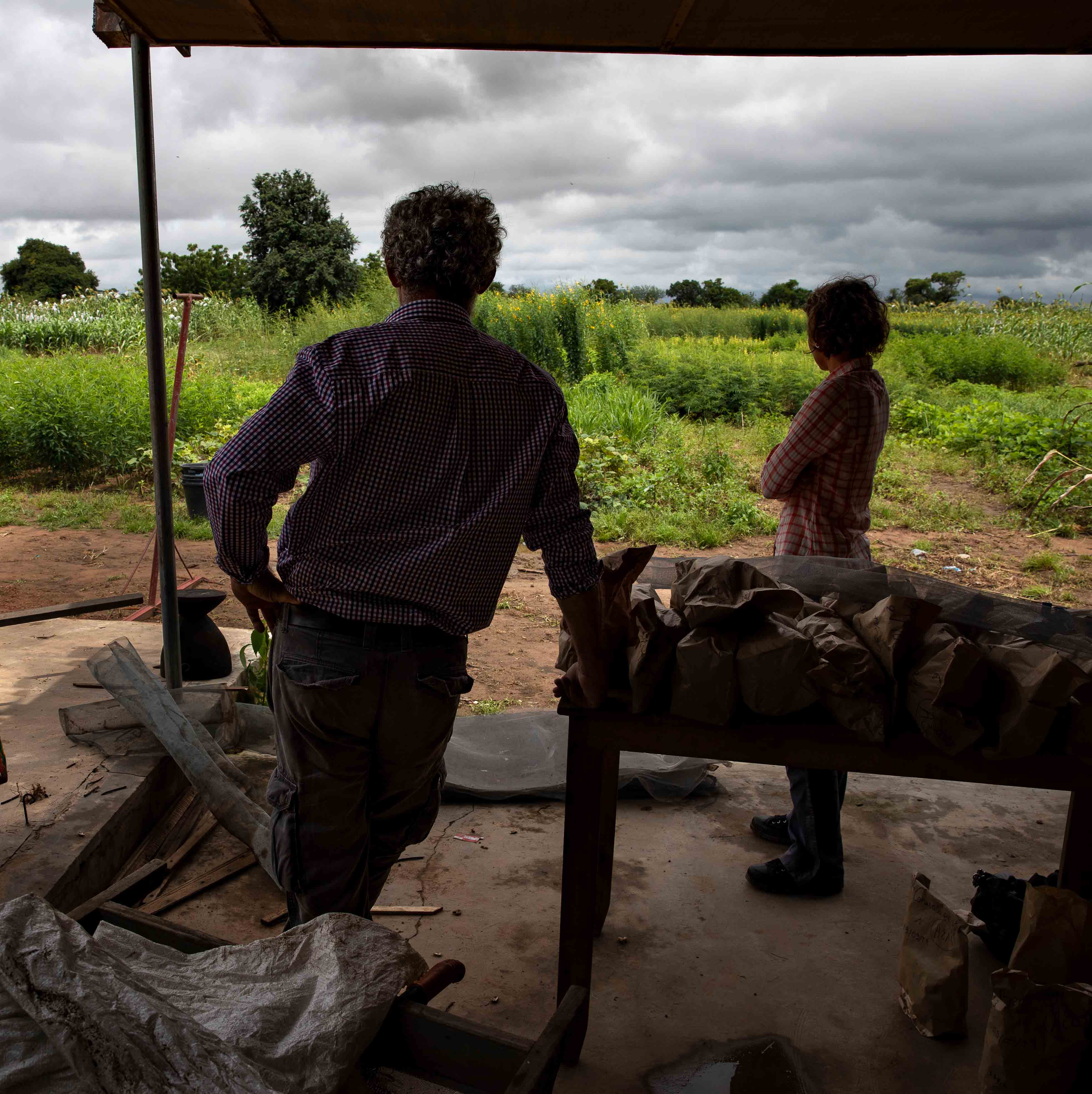 Une colonne vertébrale pour l'innovation