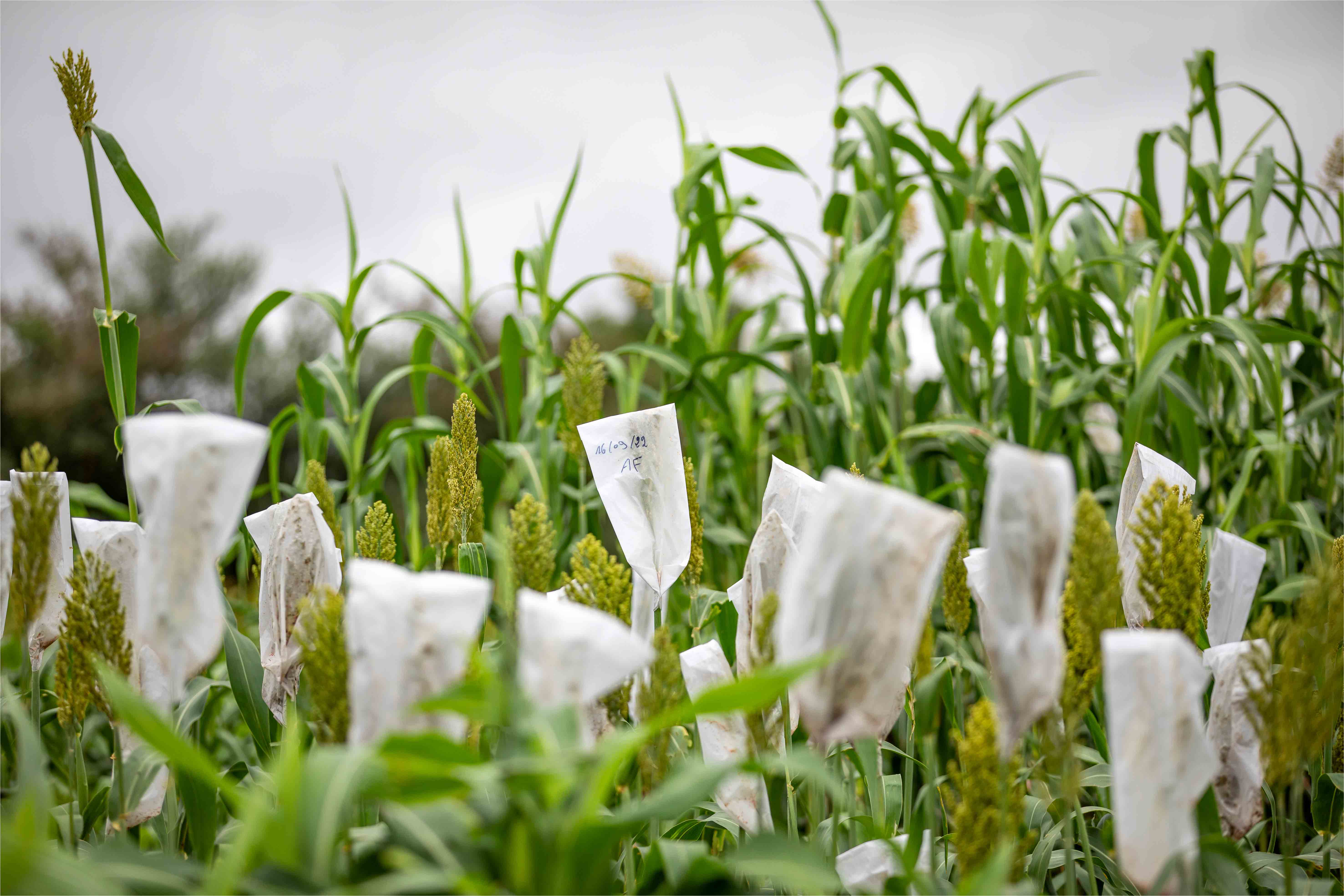 Une colonne vertébrale pour l'innovation