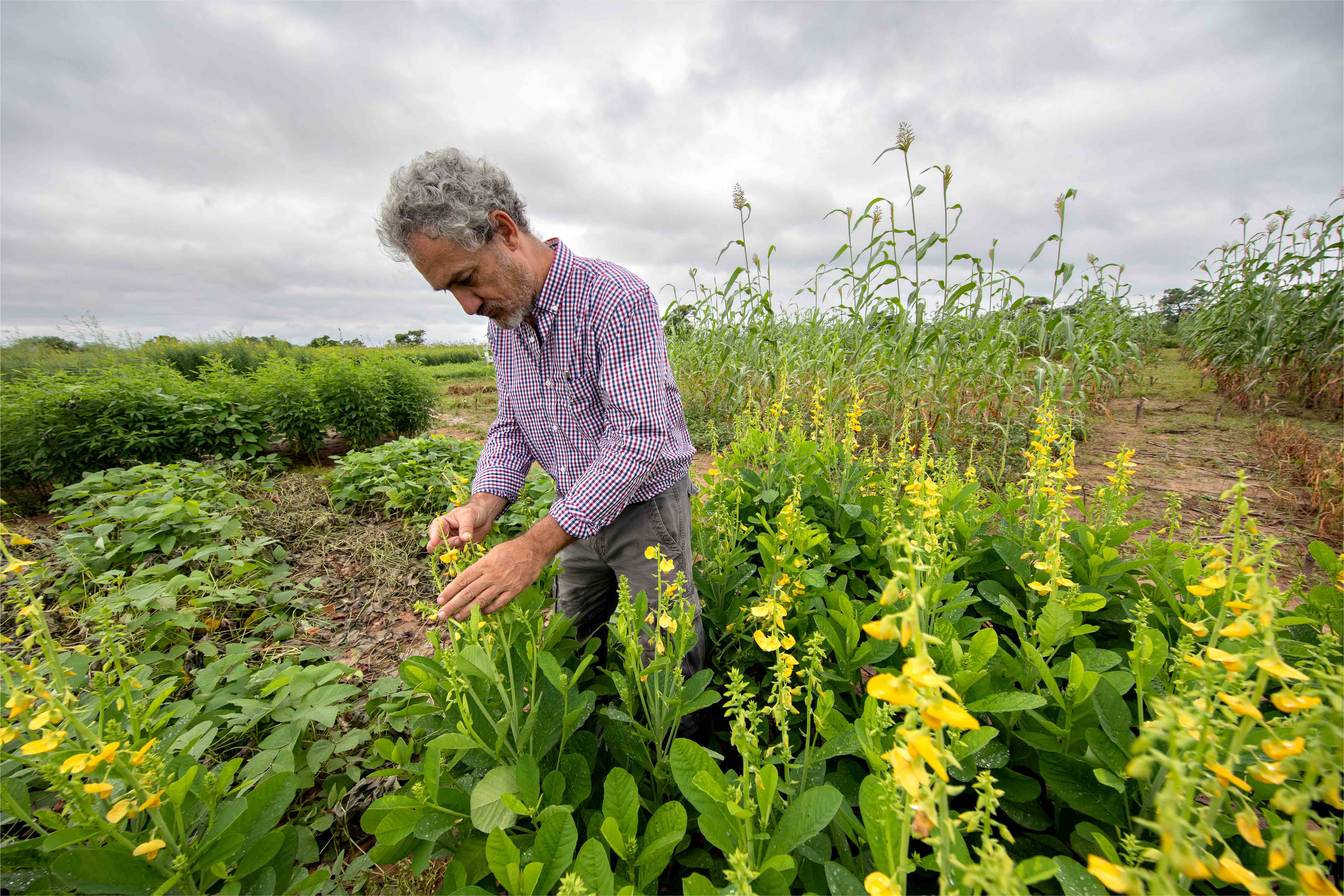 Une colonne vertébrale pour l'innovation