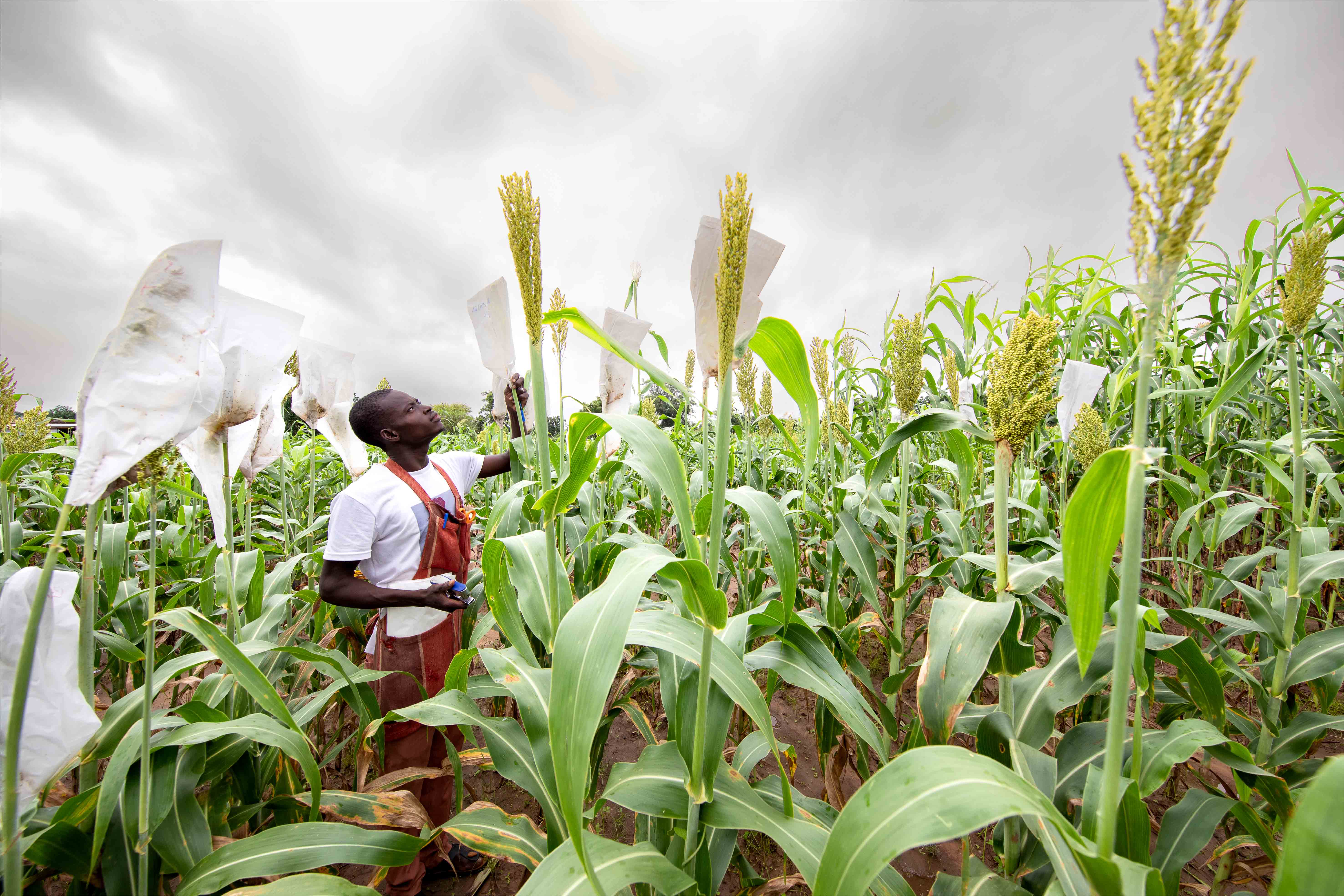 Une colonne vertébrale pour l'innovation