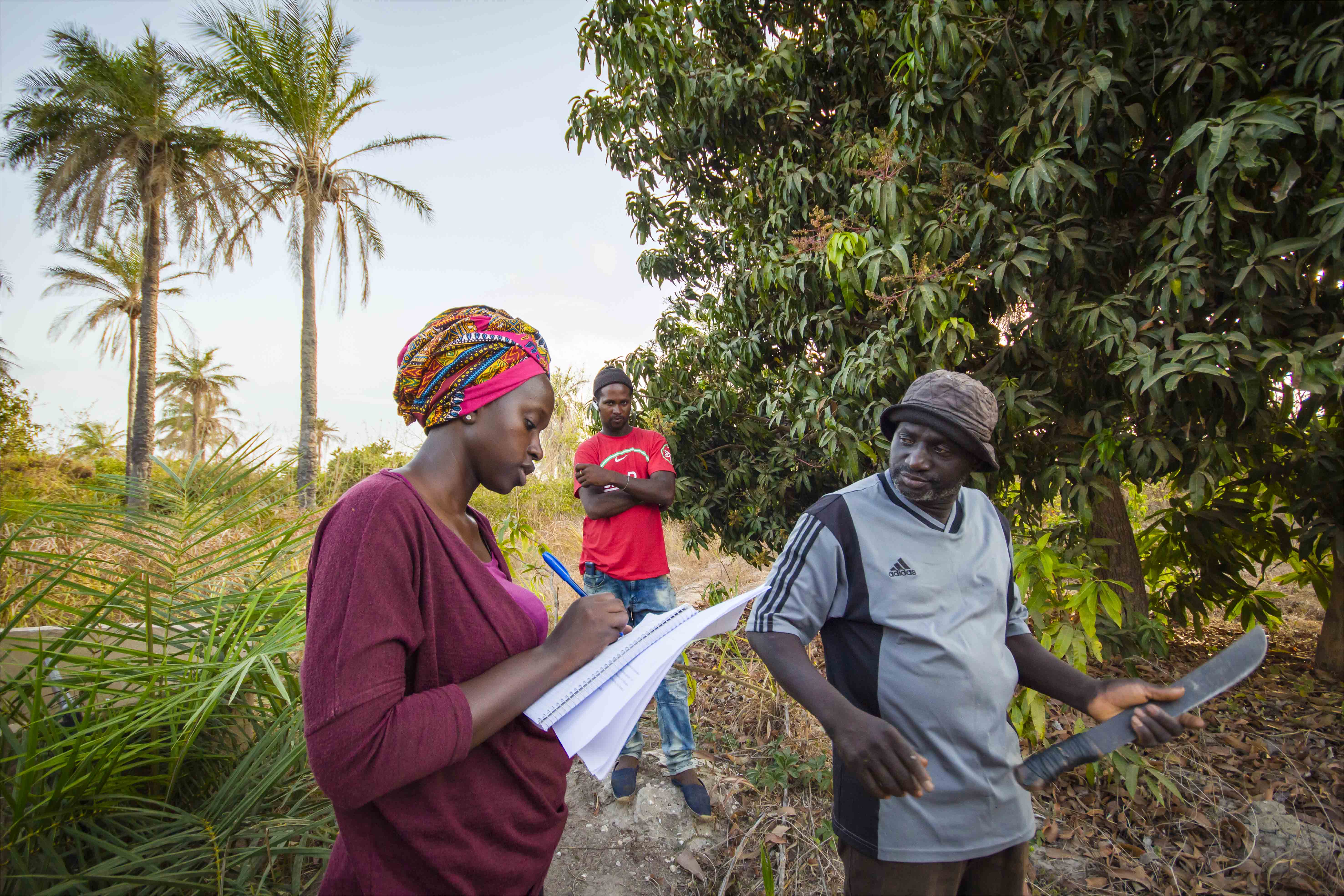 Des recherches pour réduire les pertes