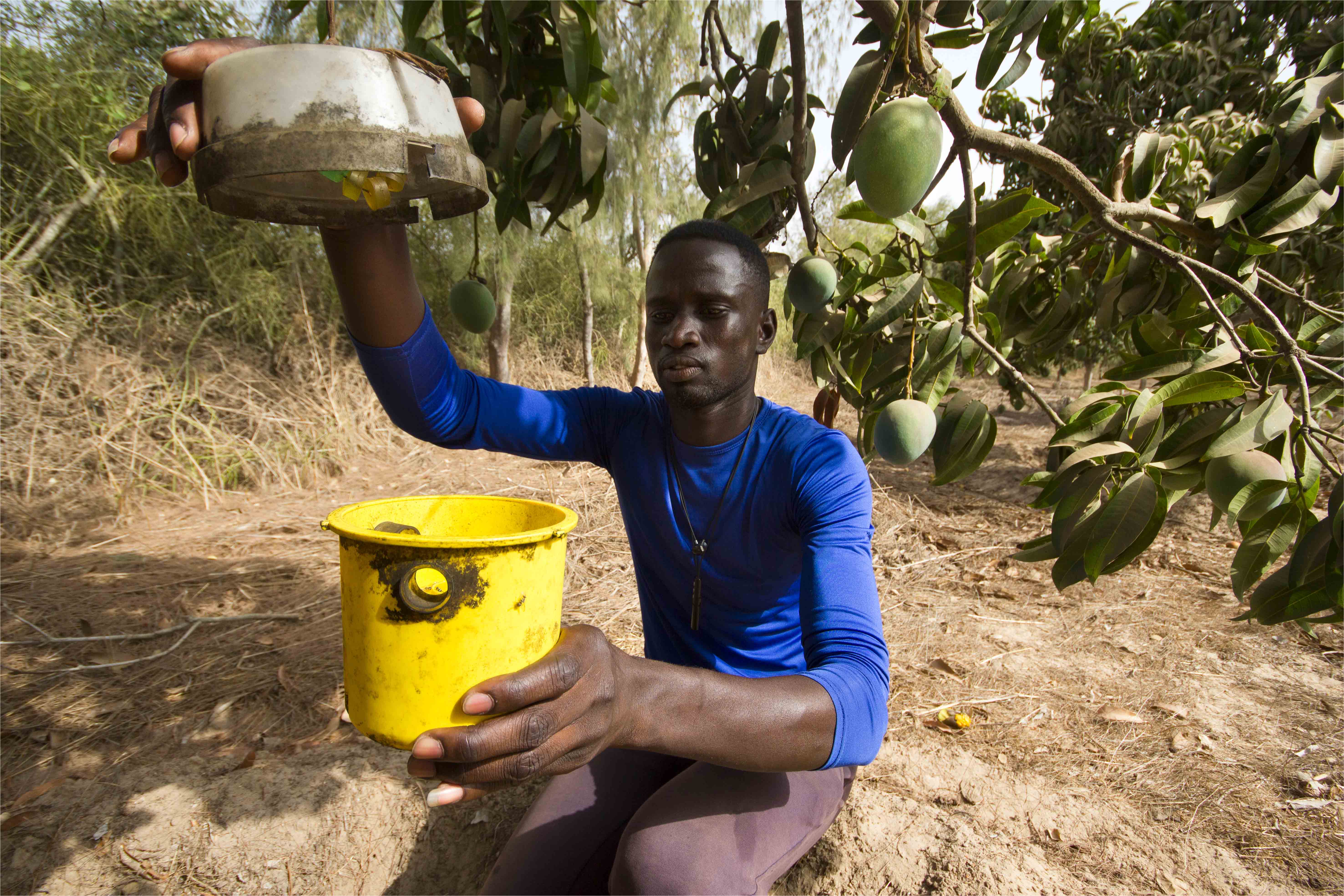 Des recherches pour réduire les pertes