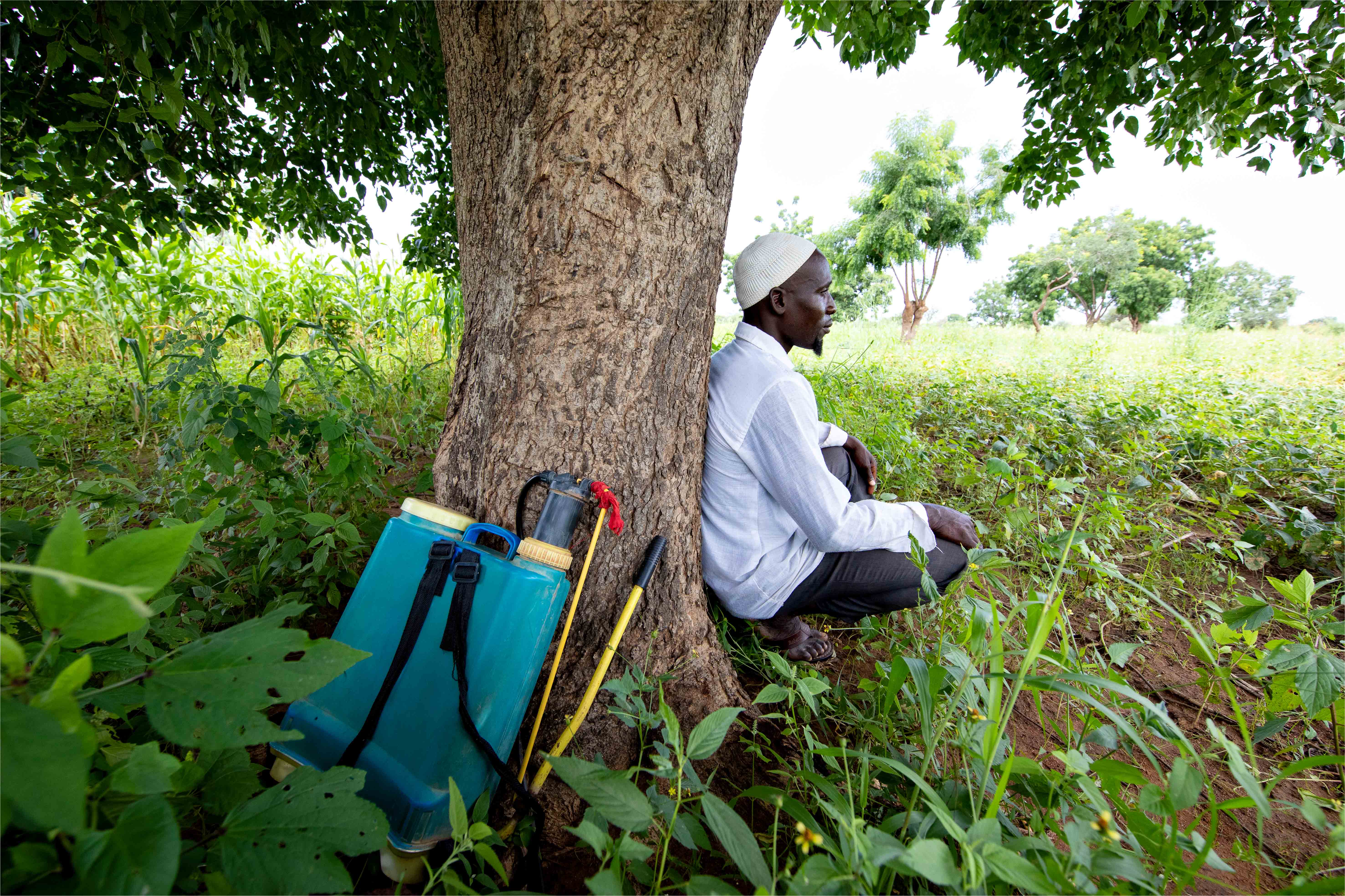 Risque sanitaire majeur