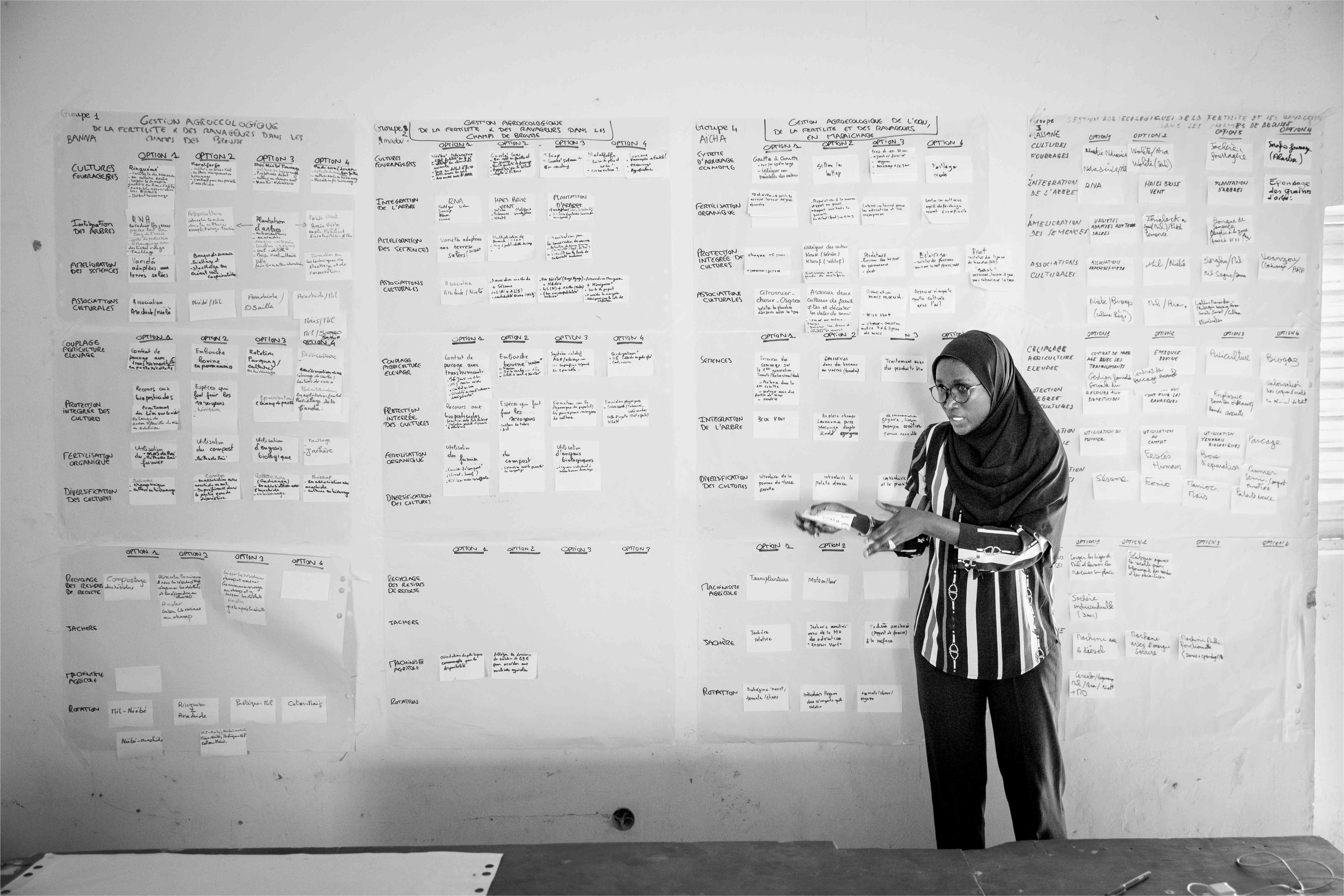 Facilitation et participation inégale