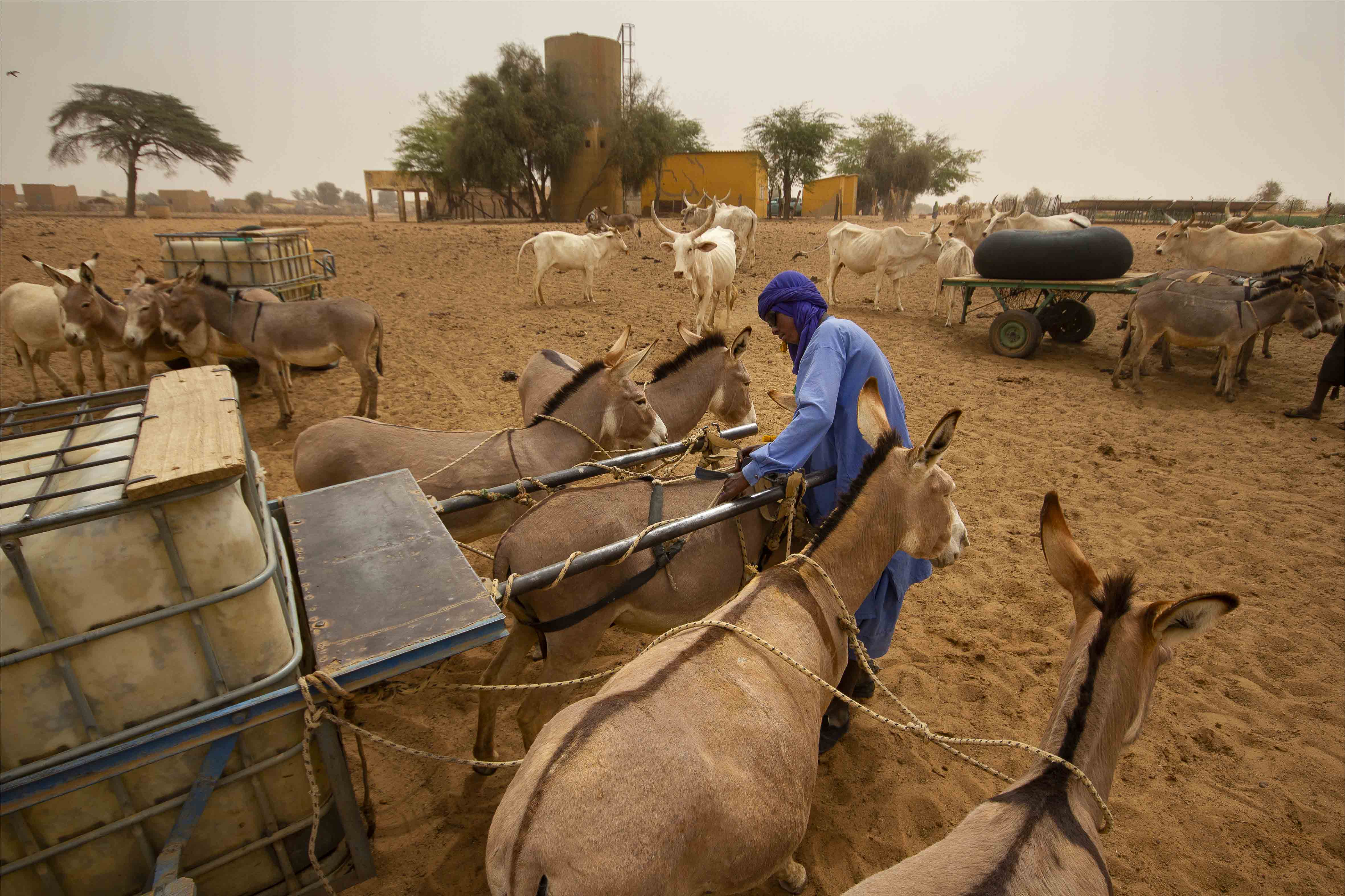 Valoriser les milieux arides