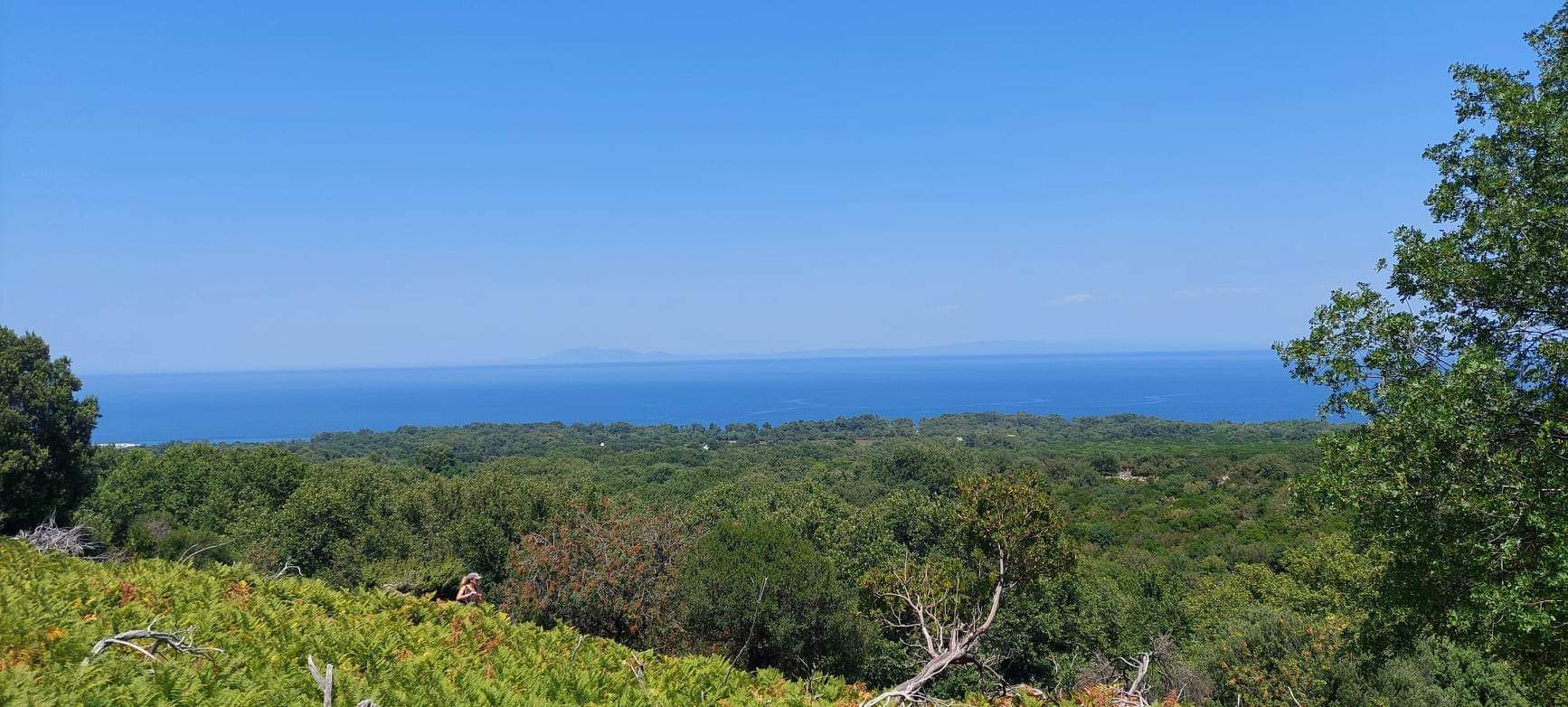 Dikella'nın doğası