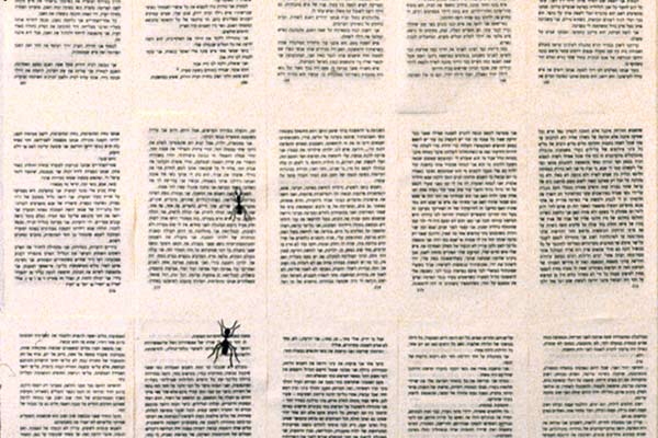 פיסול בספרים