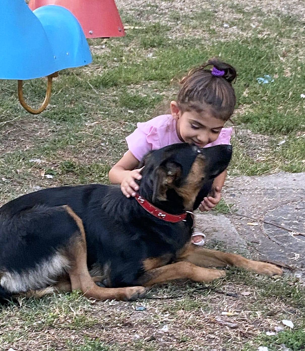 JESSIE *** ADOPTED ***
