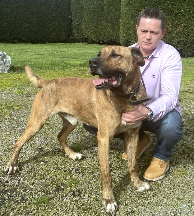 ROLLY *** ADOPTED ***