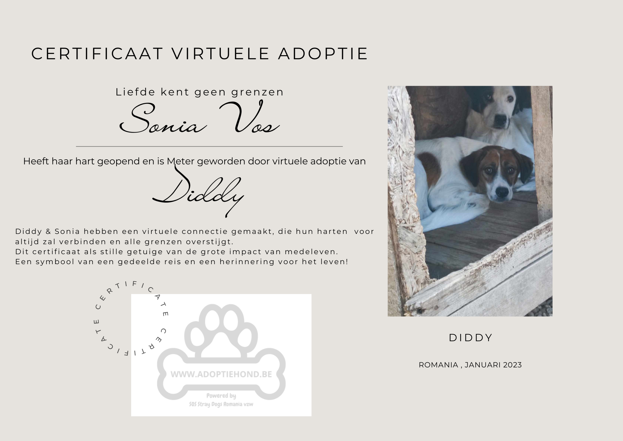 Wie helpt Diddy?