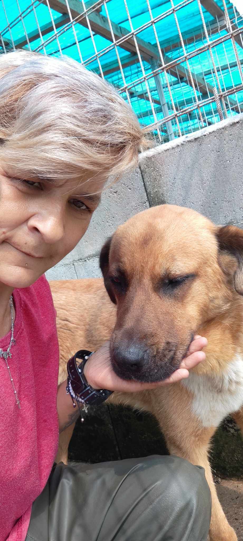 MILO **** ADOPTED ****