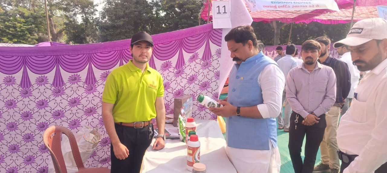 رافي كروشي ماهوتساف