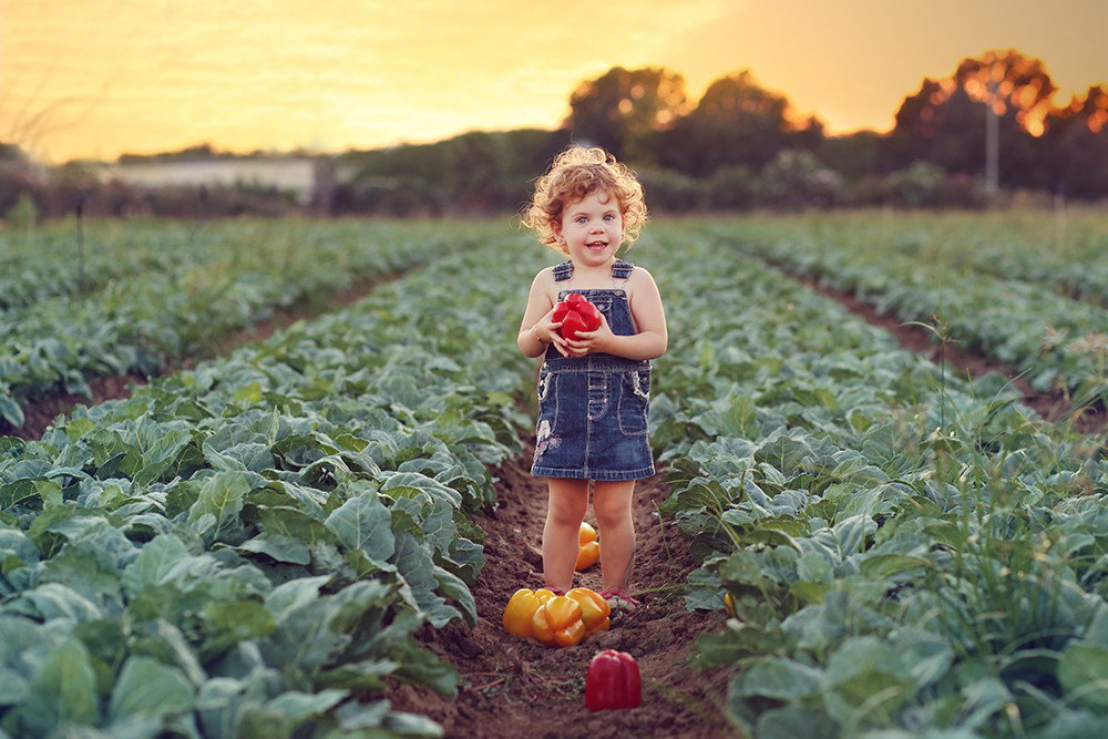 Fun and beautiful moments of childhood and family interaction!
