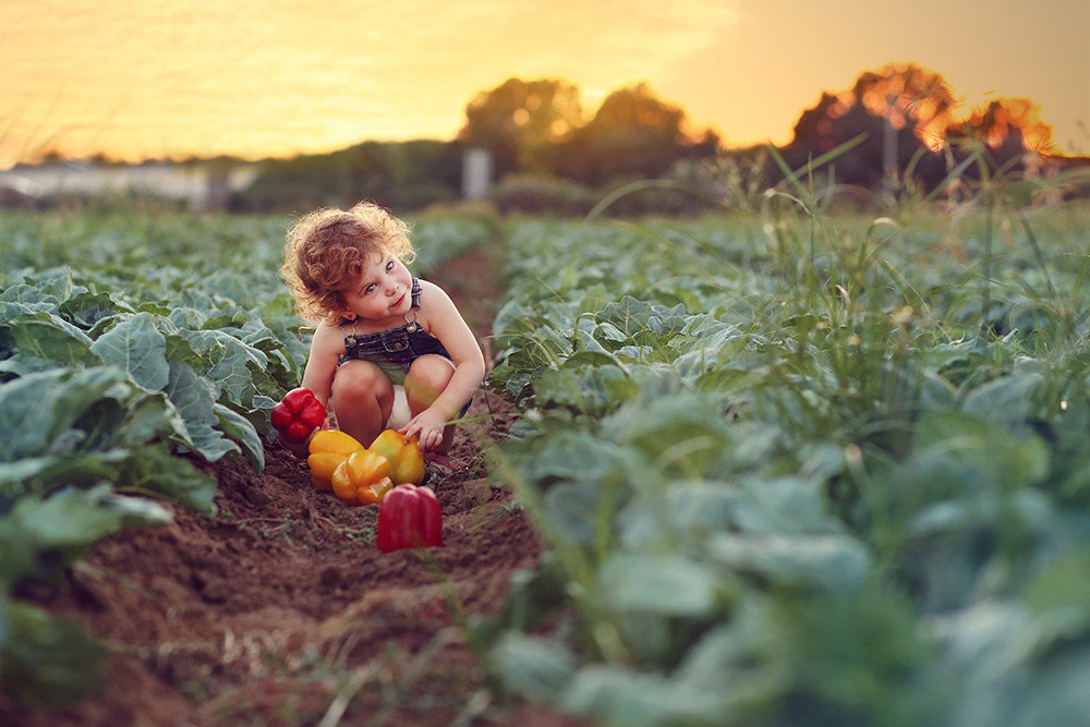 Fun and beautiful moments of childhood and family interaction!