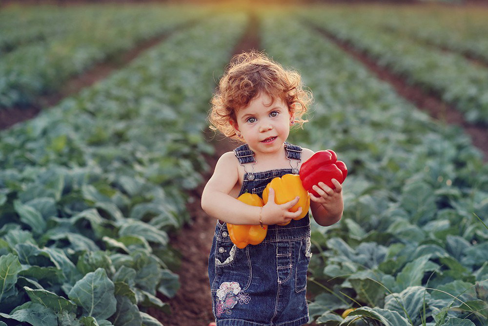 Fun and beautiful moments of childhood and family interaction!