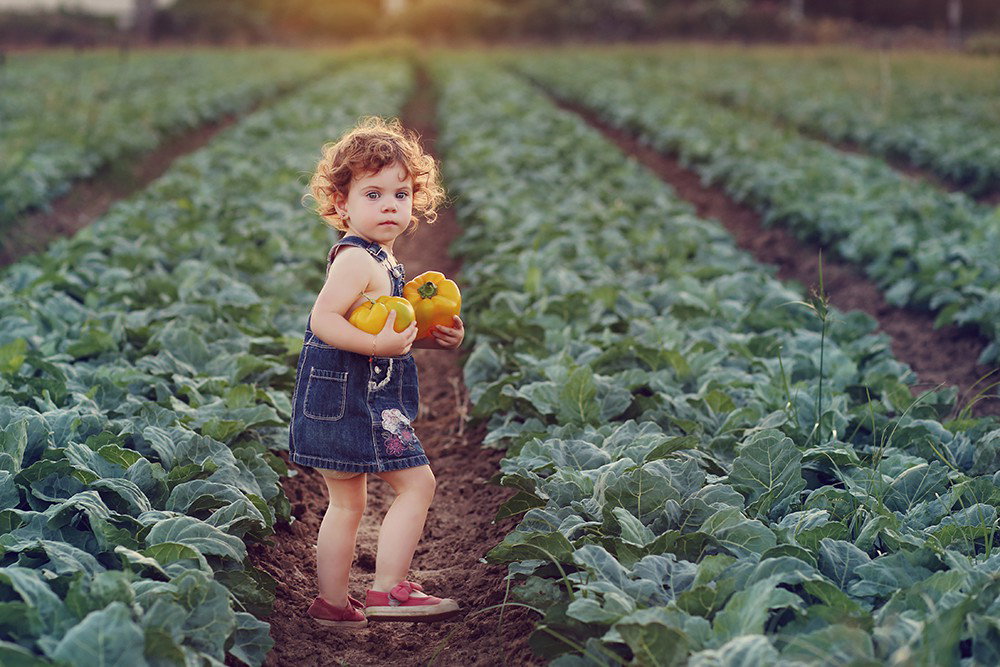Fun and beautiful moments of childhood and family interaction!