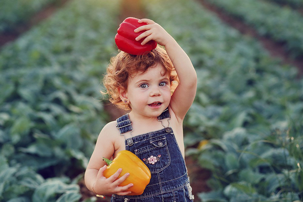 Fun and beautiful moments of childhood and family interaction!