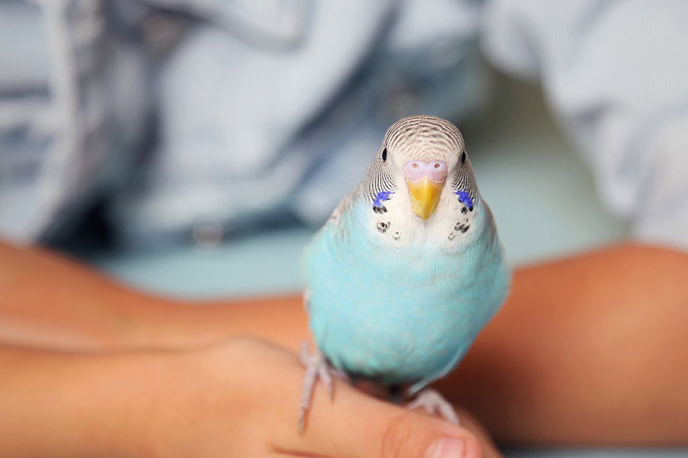 Fun and beautiful moments of childhood and family interaction!