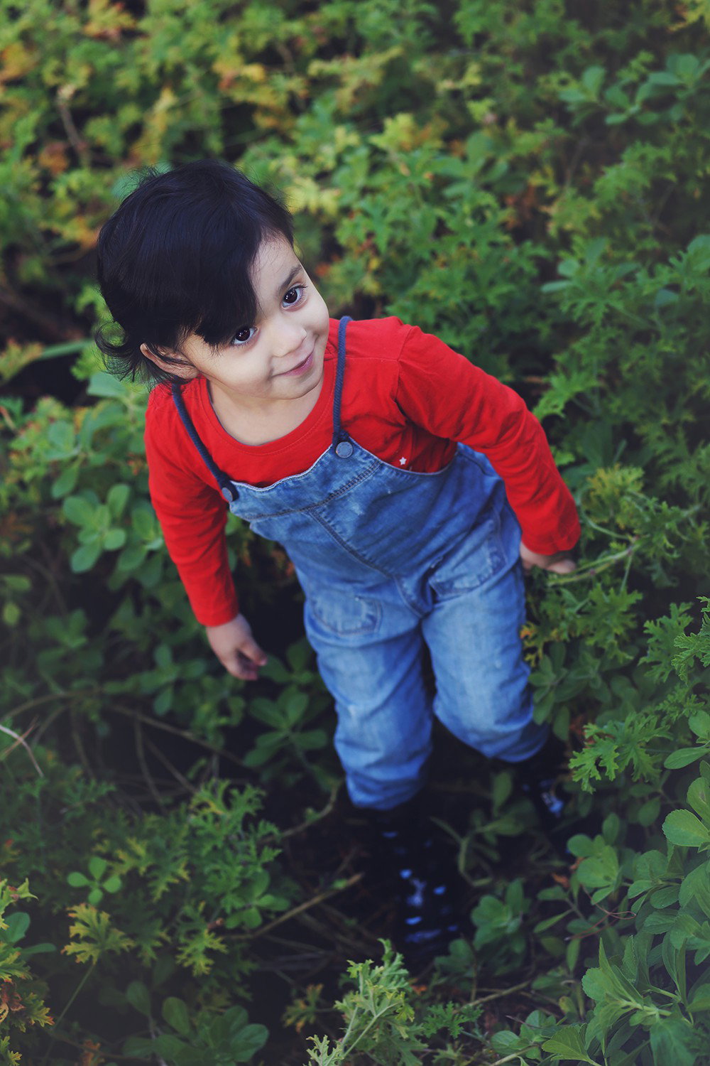 Age 3 how exciting! The moment when the little one turns into a little gerber, is told. And the hair?! At least we will have pictures as a souvenir.