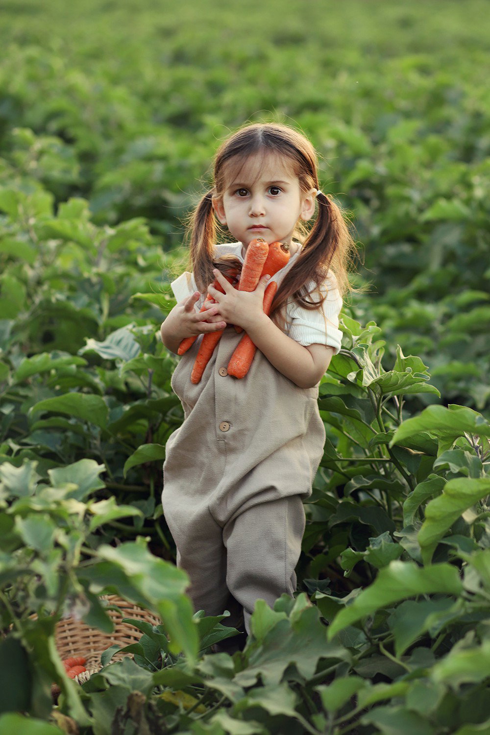 Age 3 how exciting! The moment when the little one turns into a little gerber, is told. And the hair?! At least we will have pictures as a souvenir.