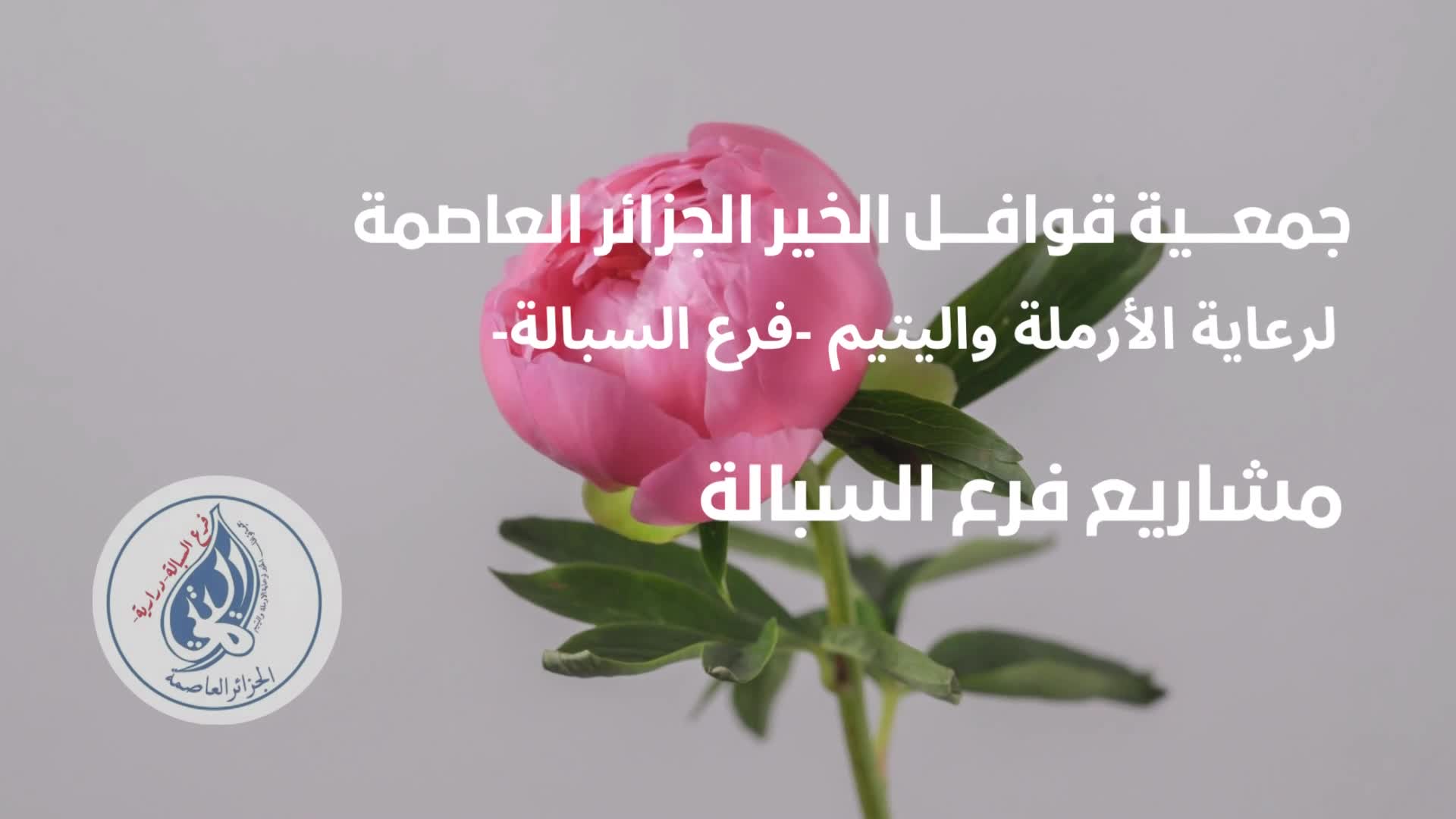 مشاريع thumbnail