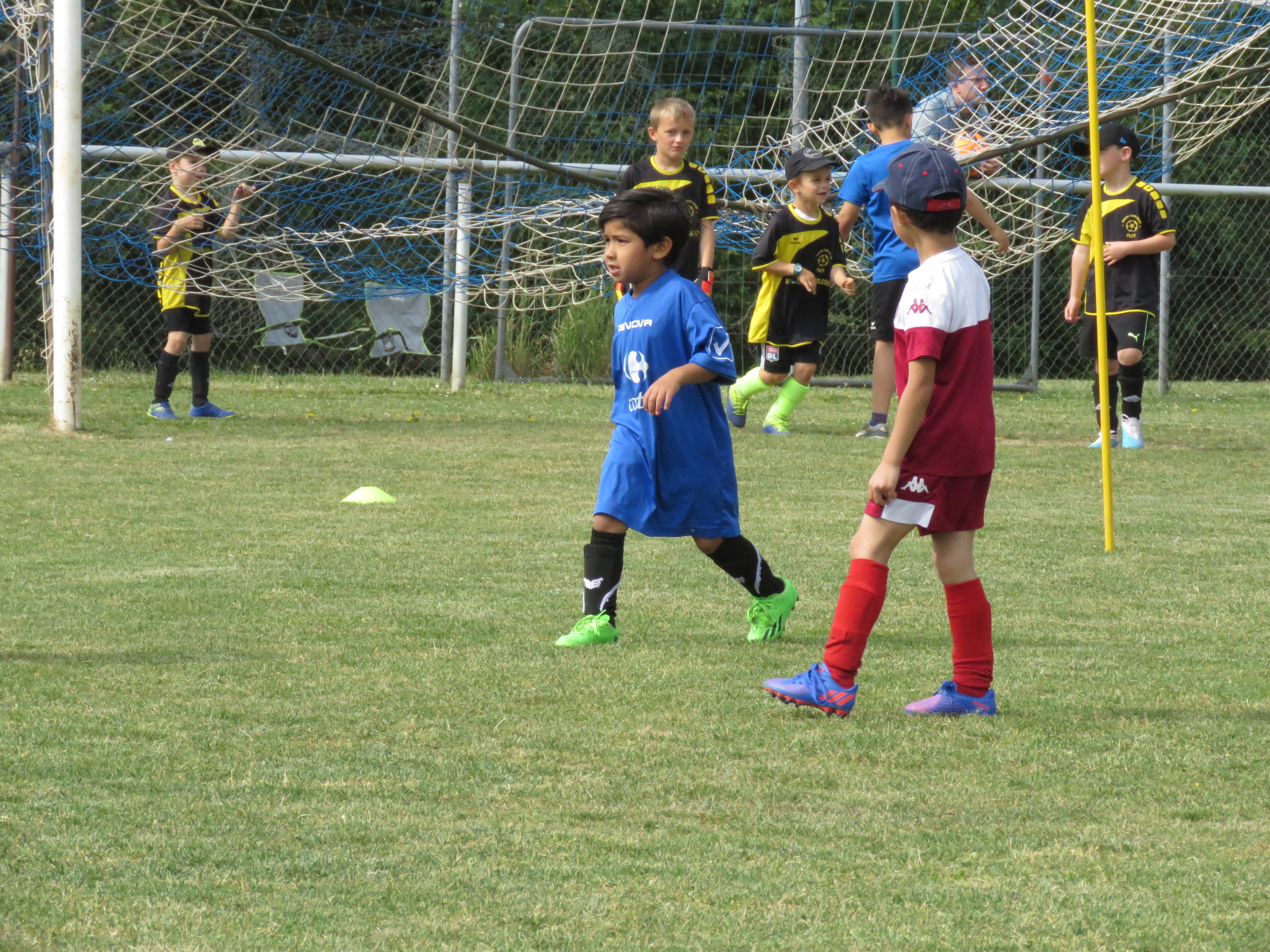 TOURNOI U7 - Samedi 3 Juin