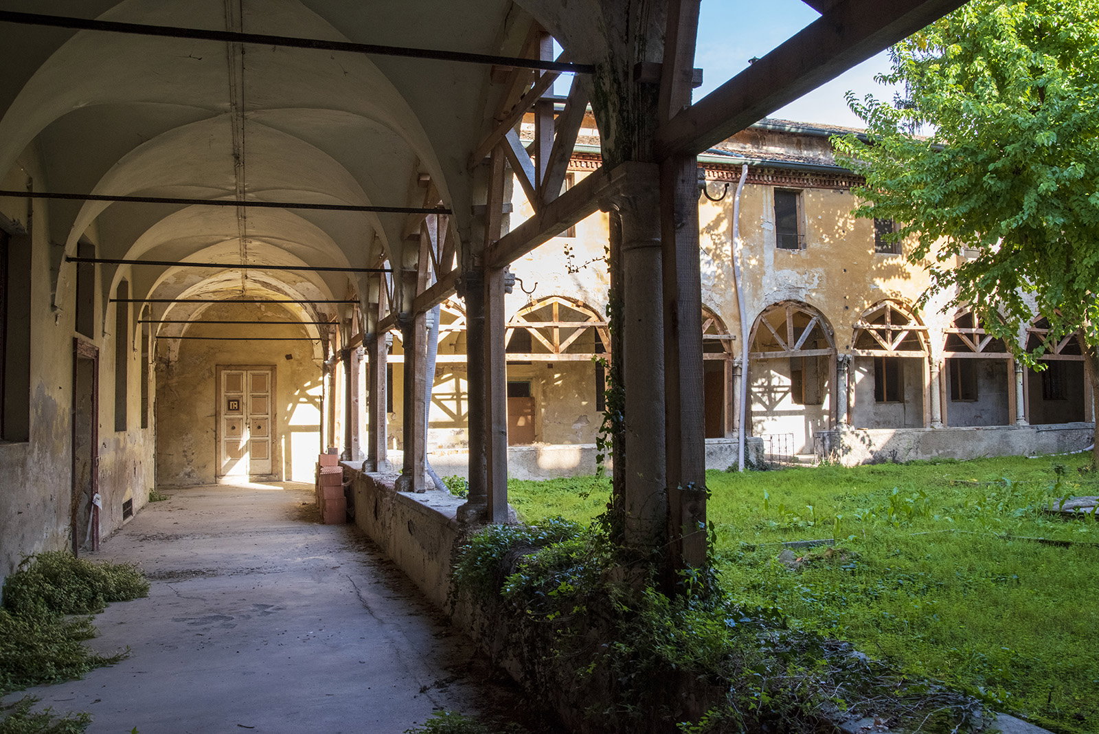 Technical consultant Luigi and Eleonora Gonzaga Institute - Gonzaga Foundation