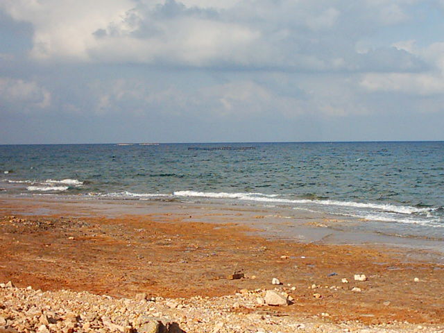 Part of the shield group's previous work