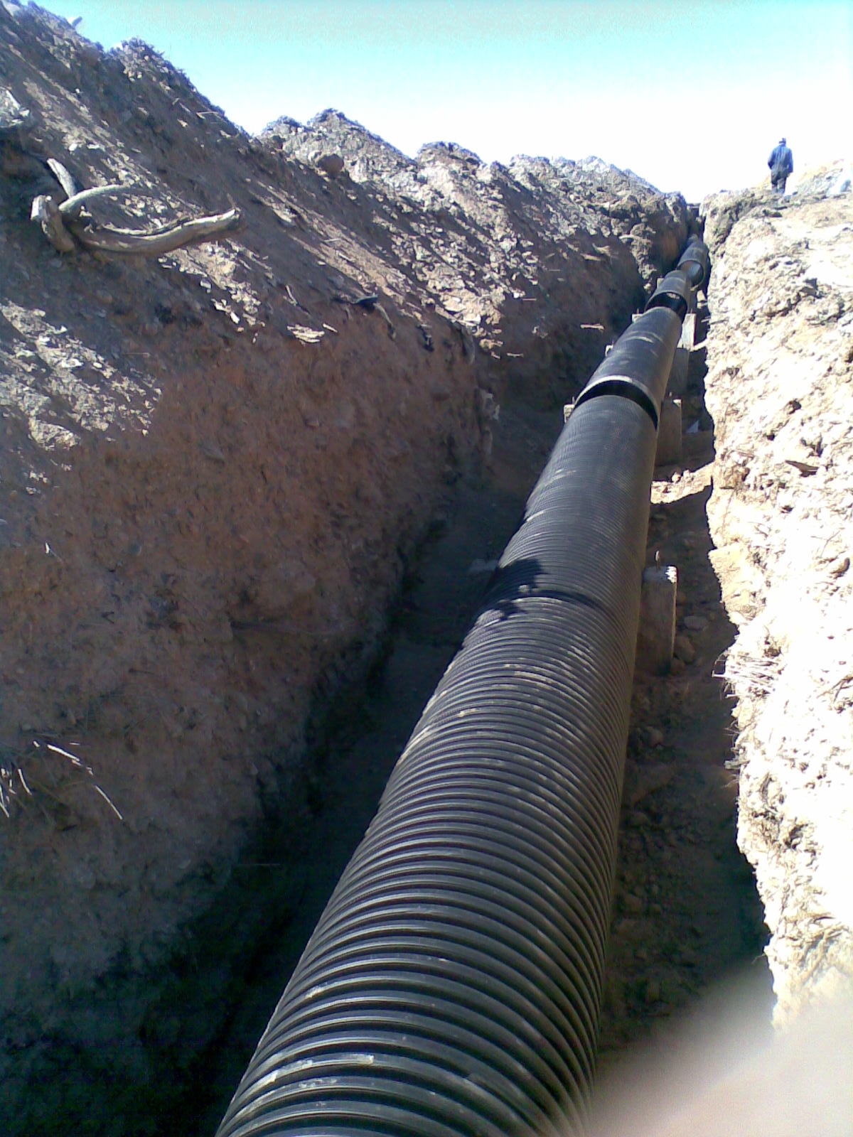 From the previous work of the shield group