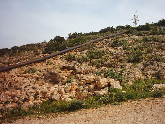 One of the previous works of the shield group