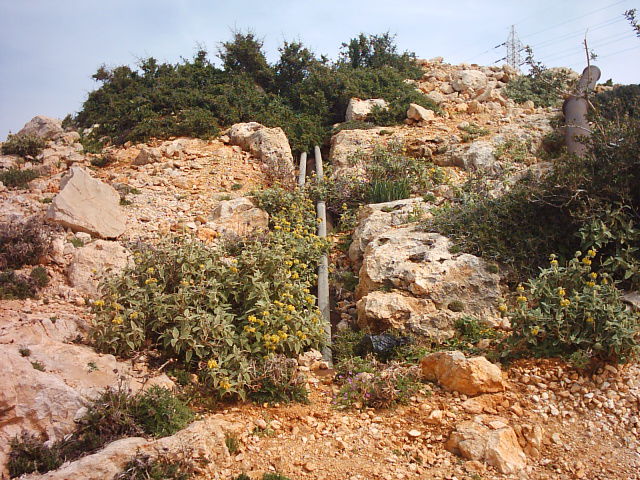 One of the previous works of the shield group